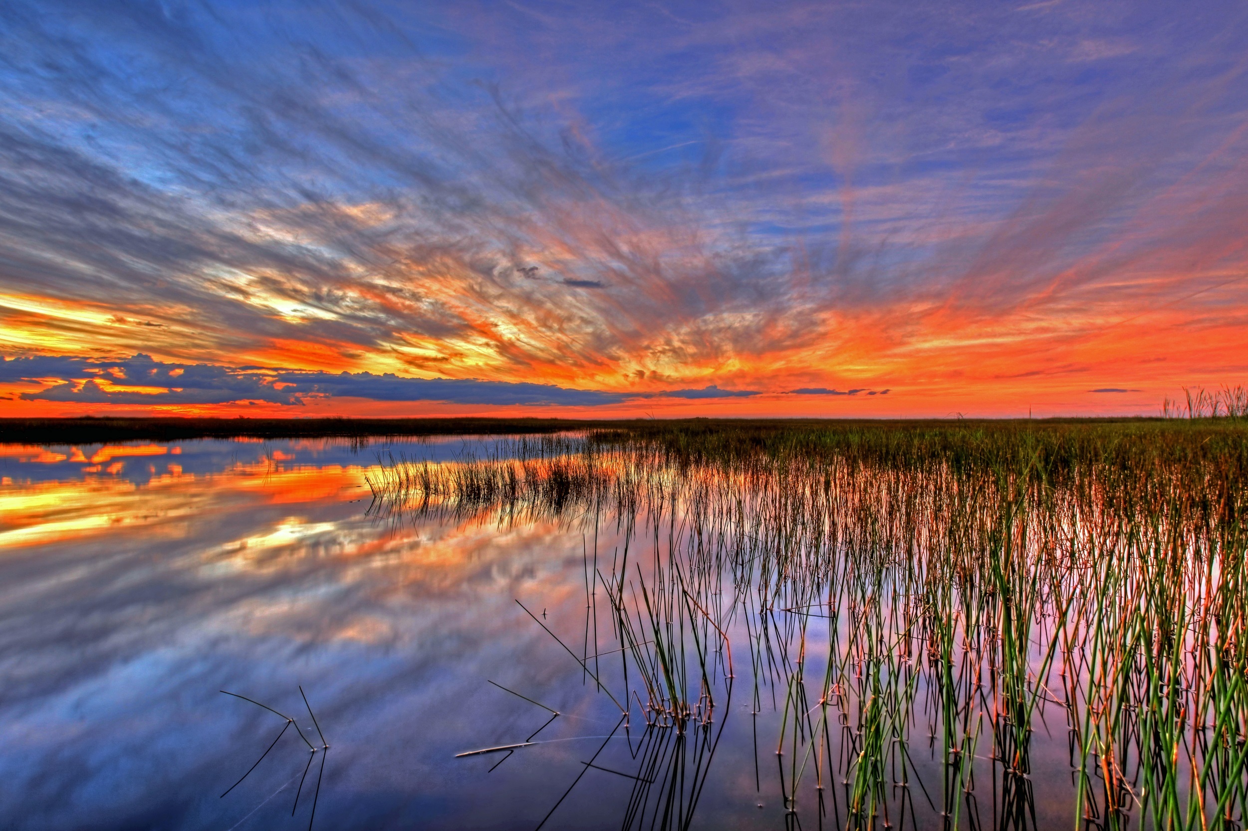 PCデスクトップに自然, 米国, エバーグレーズ, 沼地, フロリダ画像を無料でダウンロード