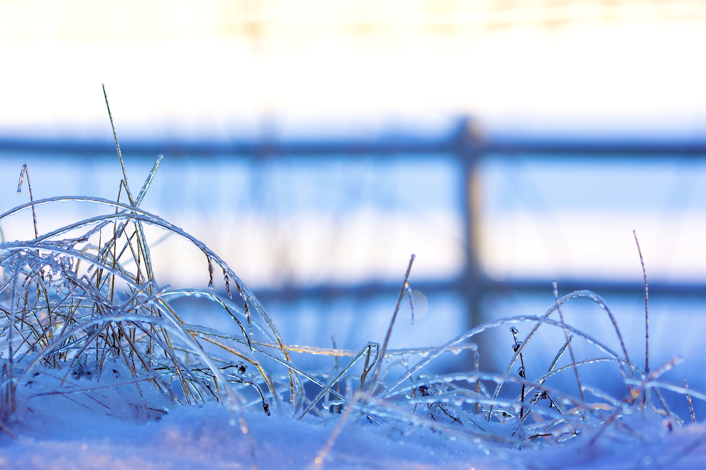Free download wallpaper Winter, Grass, Snow, Macro, Frost, Hoarfrost, Frozen on your PC desktop