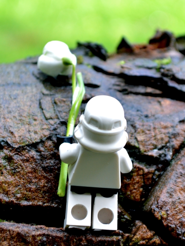 Téléchargez des papiers peints mobile Lego, Stormtrooper, Produits, Légo gratuitement.