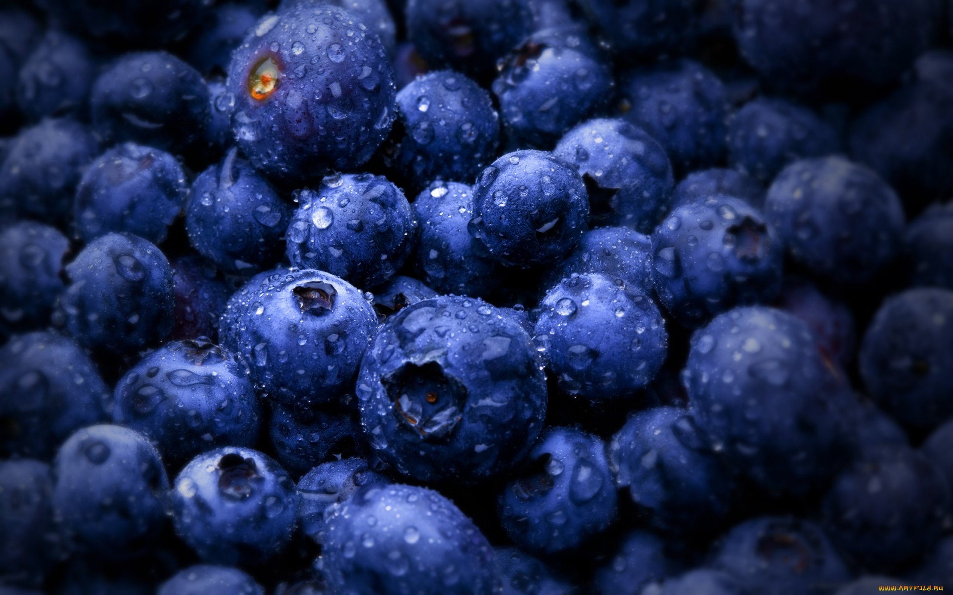 New Lock Screen Wallpapers blueberry, food