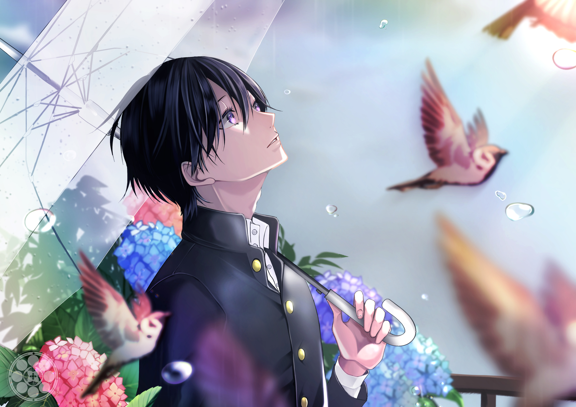 Free download wallpaper Anime, Bird, Boy on your PC desktop