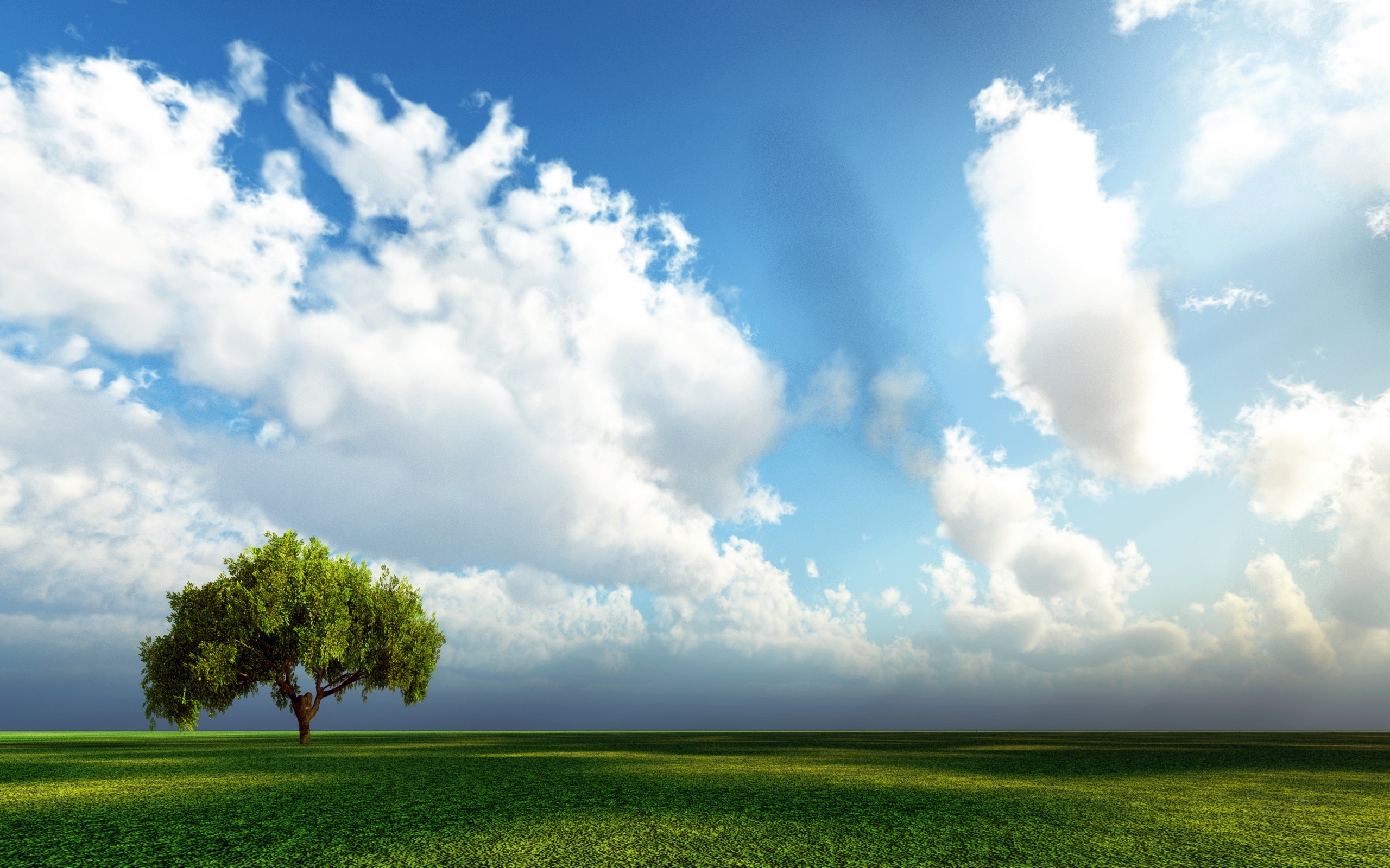 Download mobile wallpaper Sky, Trees, Landscape for free.