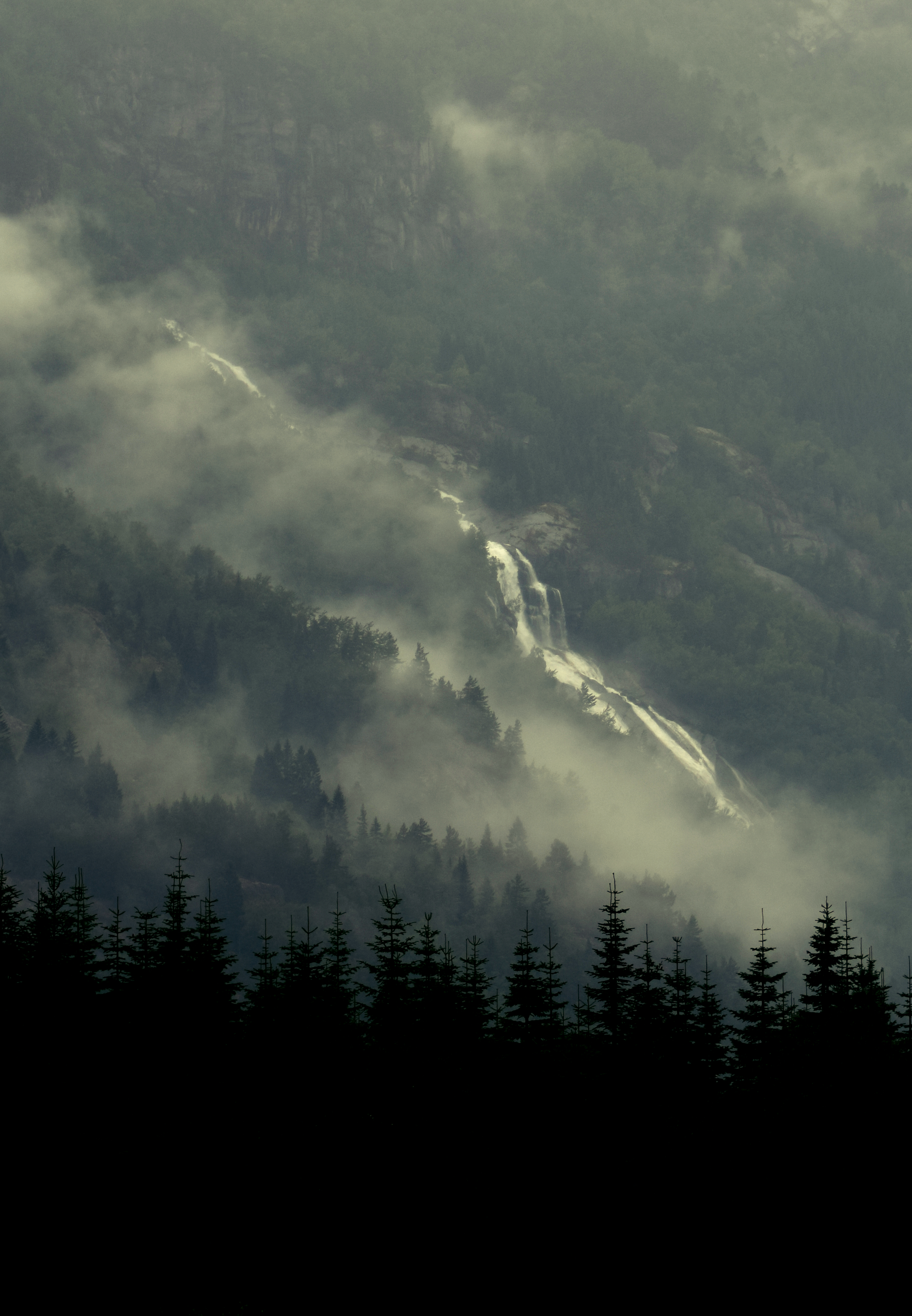Laden Sie das Natur, Bäume, Nebel, Fichte, Fir, Wald, Flüsse-Bild kostenlos auf Ihren PC-Desktop herunter