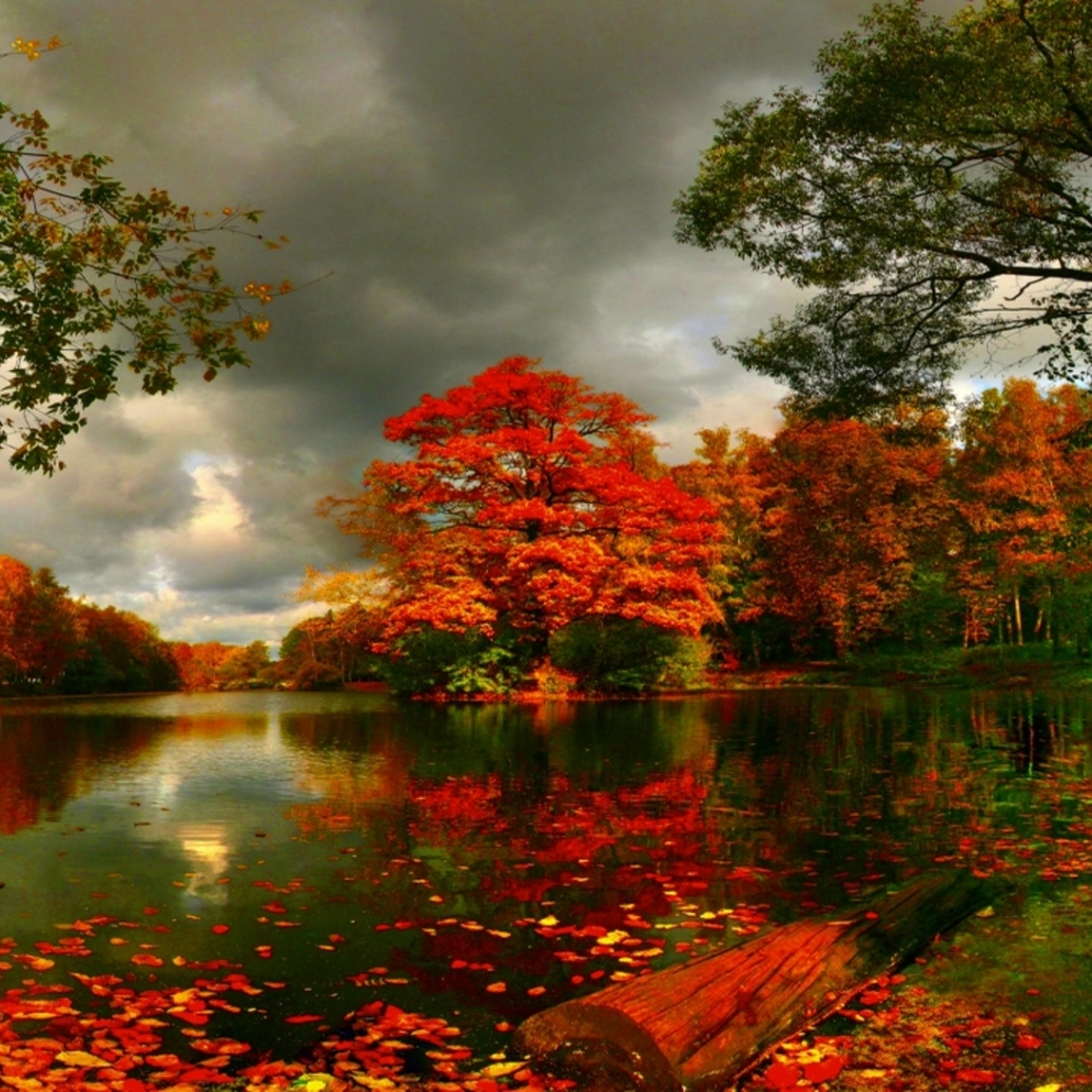 Download mobile wallpaper Nature, Tree, Fall, Earth, Pond for free.
