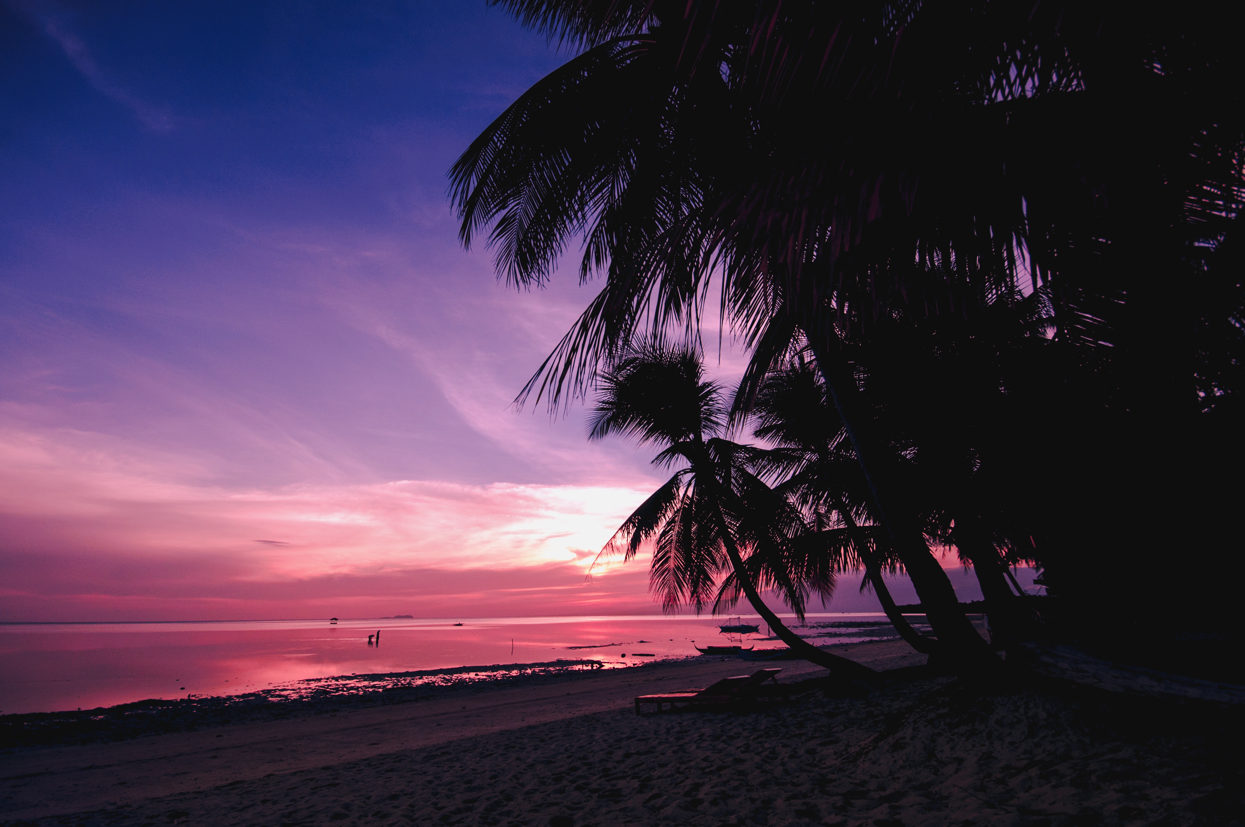 Free download wallpaper Shore, Bank, Nature, Branches, Tropics, Sunset, Palms, Beach on your PC desktop