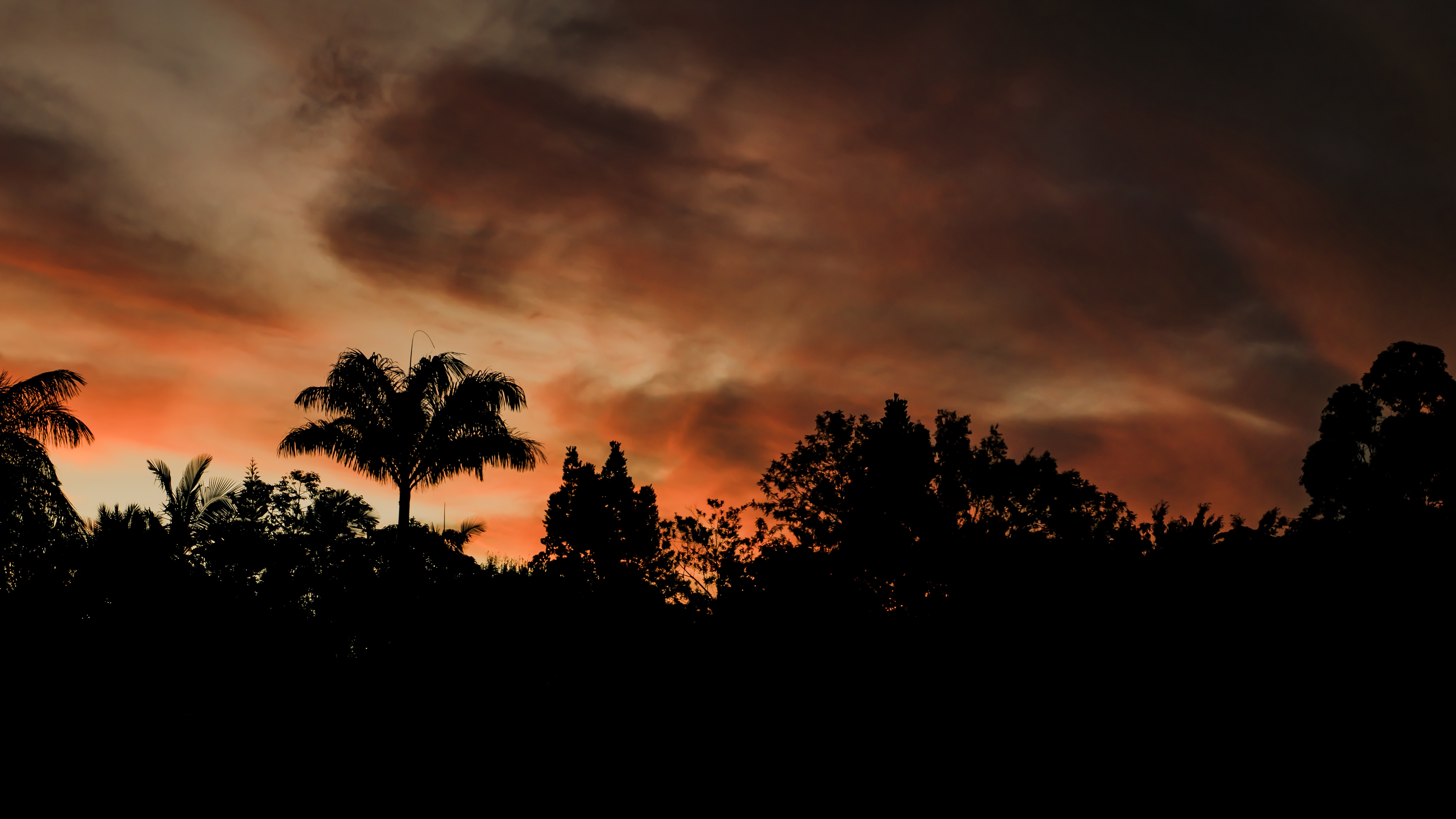 Free download wallpaper Trees, Sunset, Clouds, Outlines, Evening, Dark on your PC desktop
