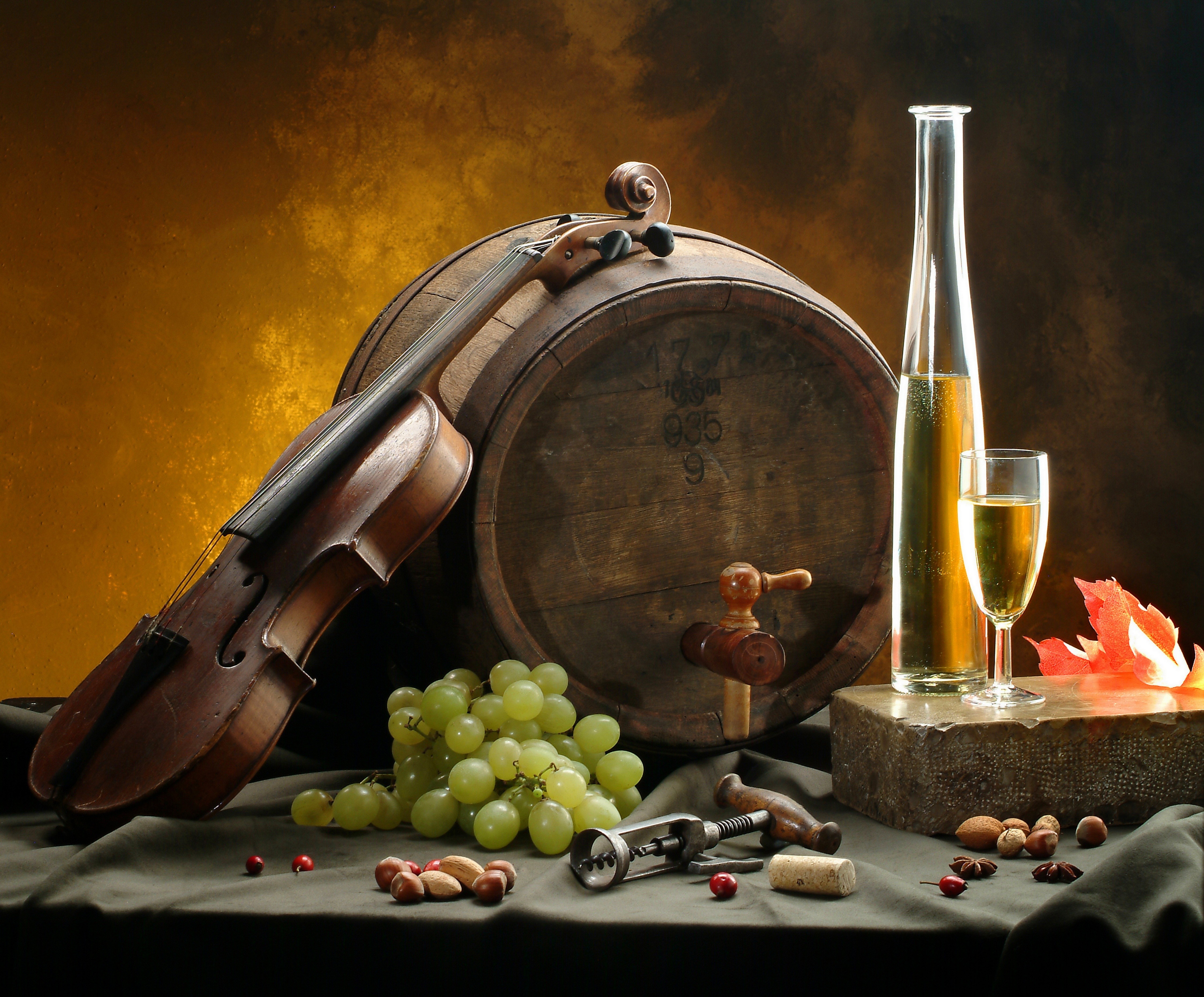 Free download wallpaper Still Life, Photography, Violin, Wine on your PC desktop