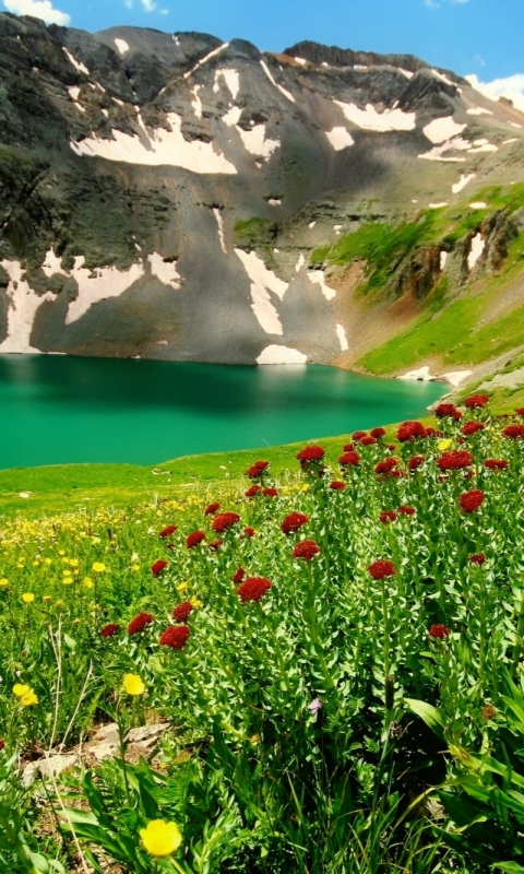 Download mobile wallpaper Landscape, Lakes, Mountain, Lake, Flower, Earth for free.