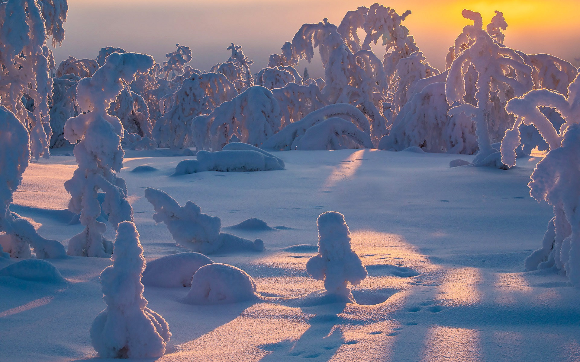 Laden Sie das Winter, Schnee, Baum, Erde/natur-Bild kostenlos auf Ihren PC-Desktop herunter