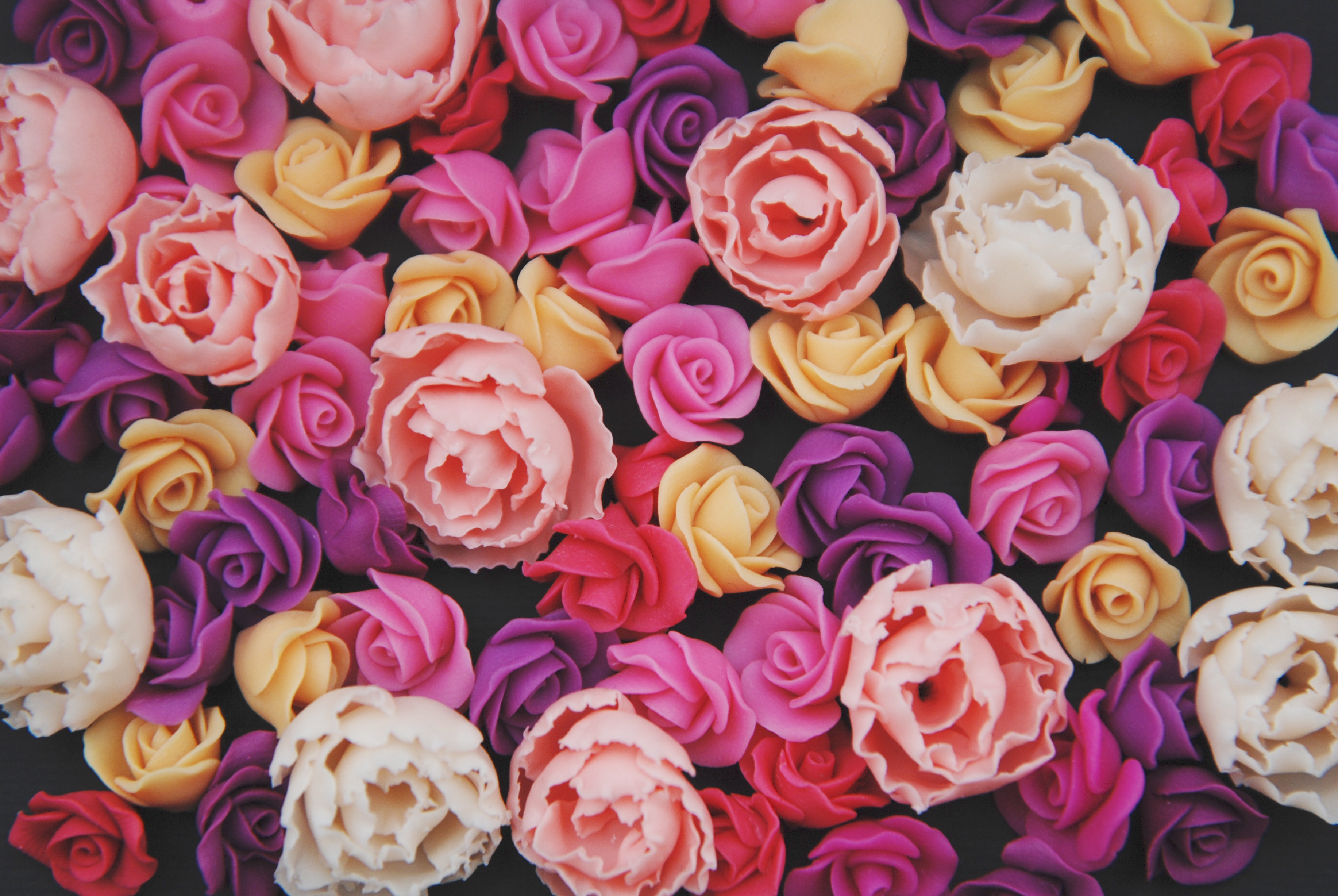 Скачати мобільні шпалери Квітка, Роза, Земля, Жовта Квітка, Фіолетова Квітка, Рожева Квітка, Флауерзи безкоштовно.