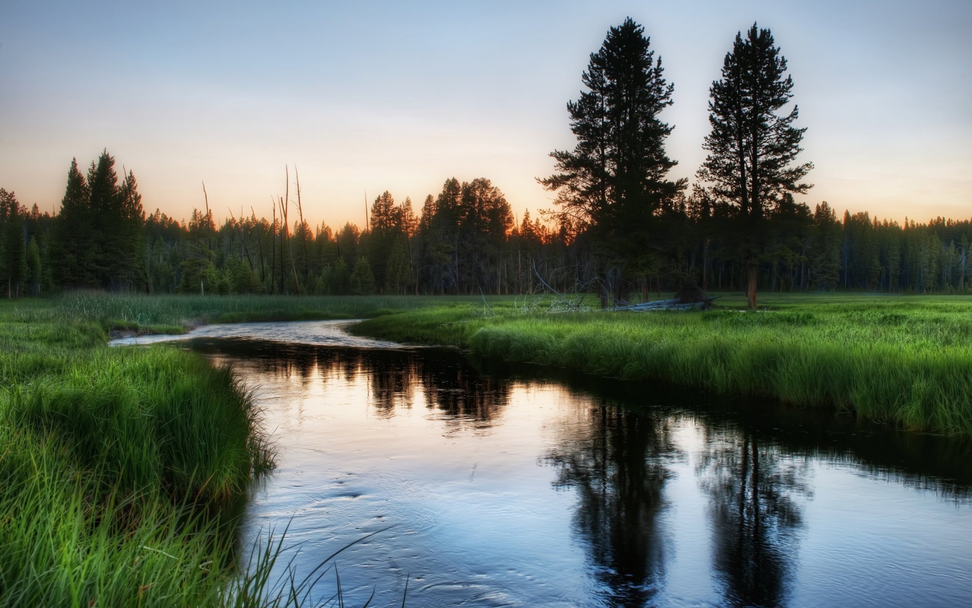 Laden Sie das Landschaft, Bäume, Sunset, Grass, Flüsse-Bild kostenlos auf Ihren PC-Desktop herunter