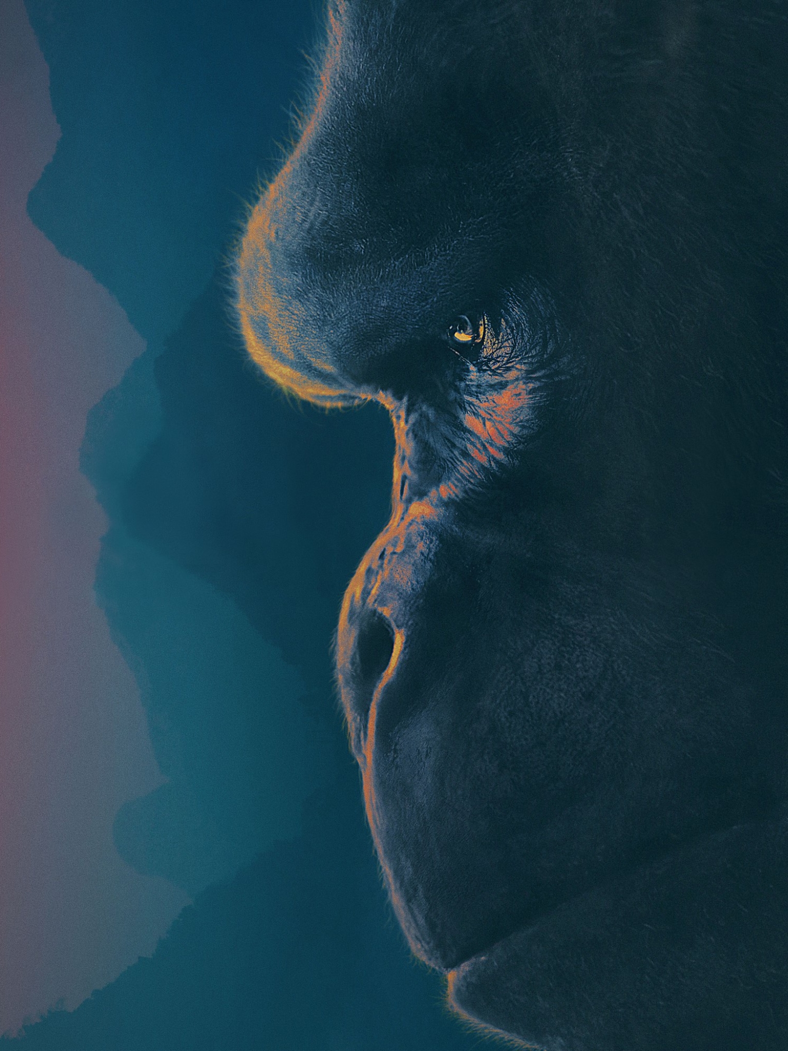 Descarga gratuita de fondo de pantalla para móvil de Películas, Kong: La Isla Calavera.