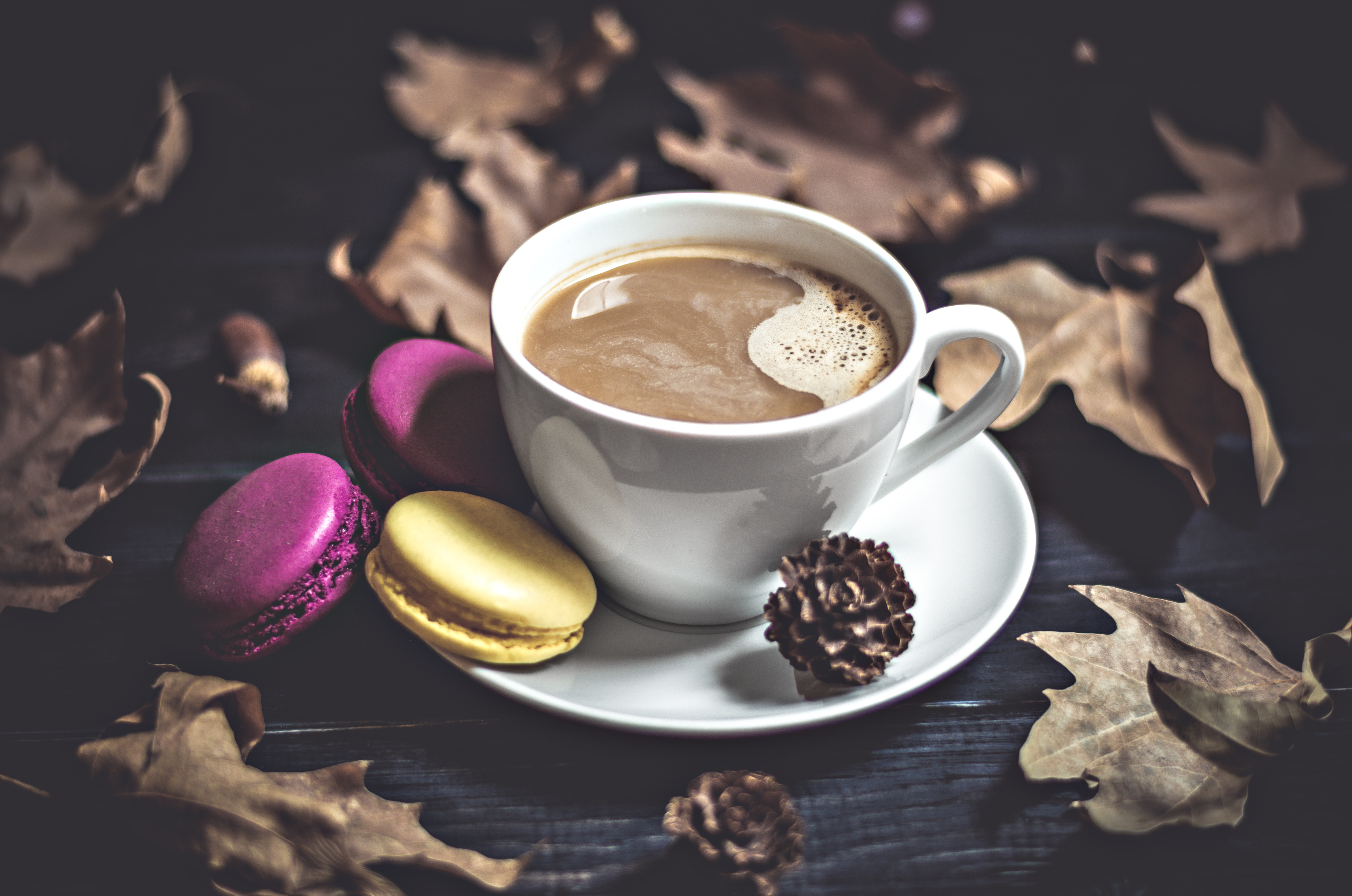 Free download wallpaper Food, Coffee, Cup, Leaf, Drink, Macaron on your PC desktop