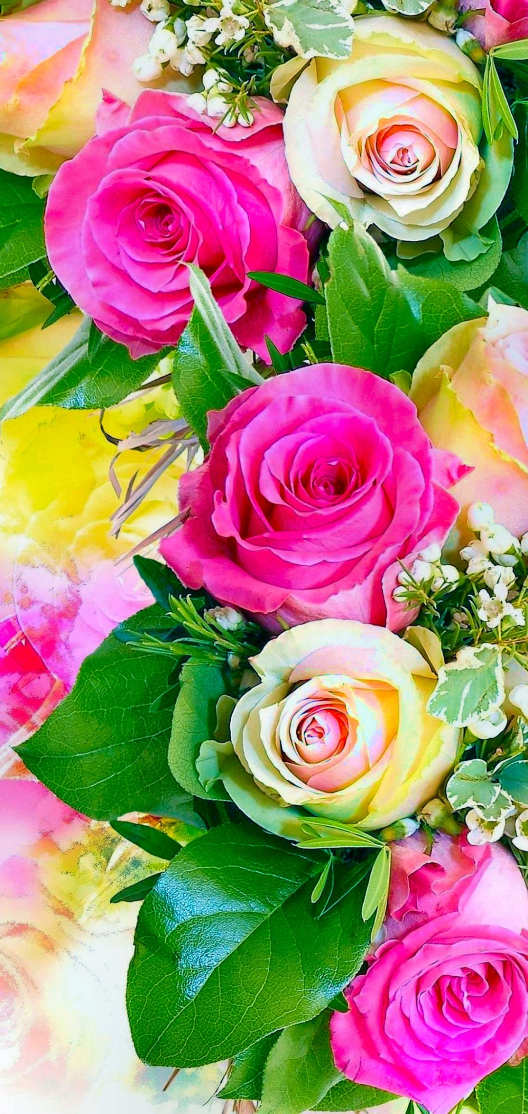 無料モバイル壁紙フラワーズ, 花, 薔薇, 花束, 地球, パステル, ホワイトローズ, ピンクのバラをダウンロードします。