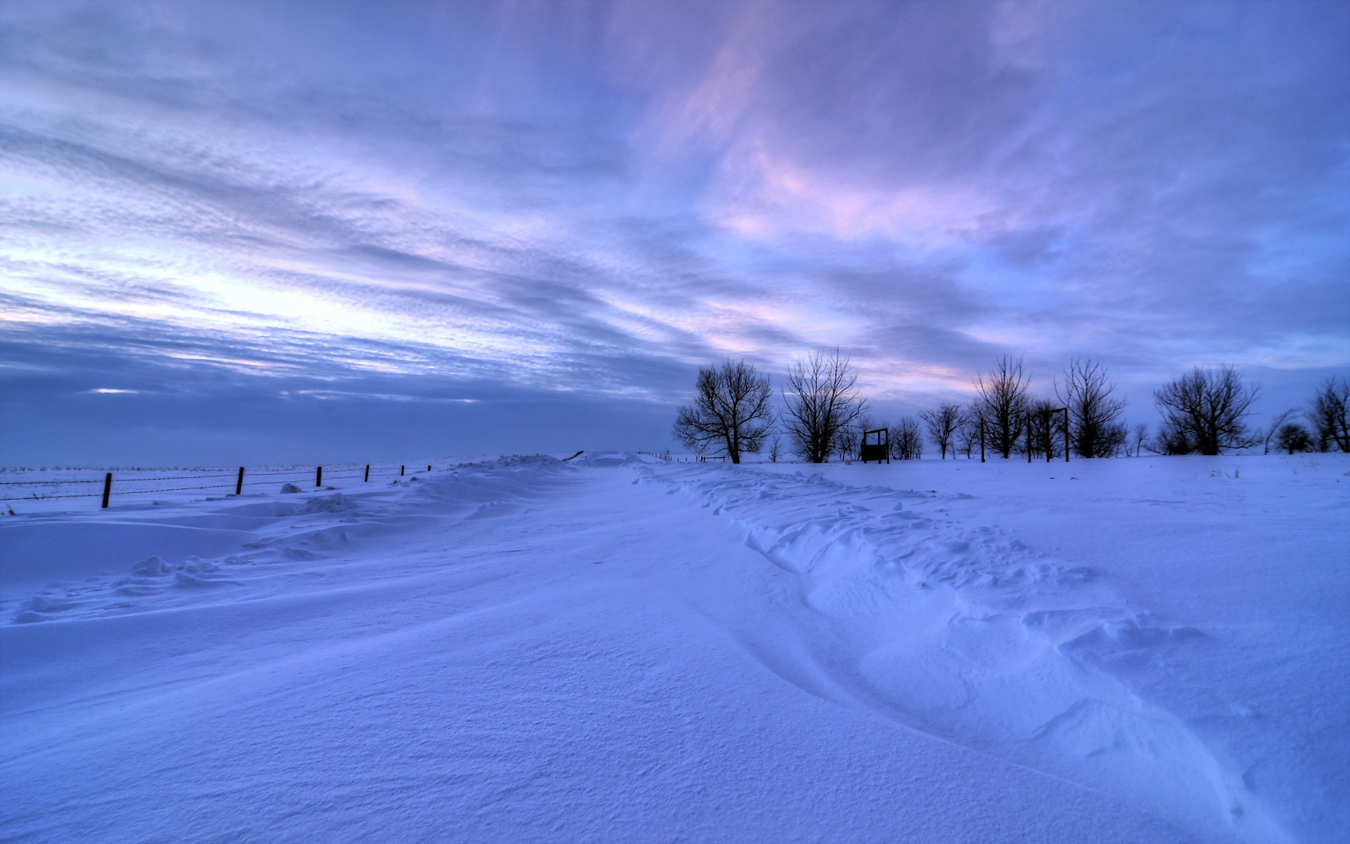 Download mobile wallpaper Winter, Sky, Snow, Tree, Earth for free.