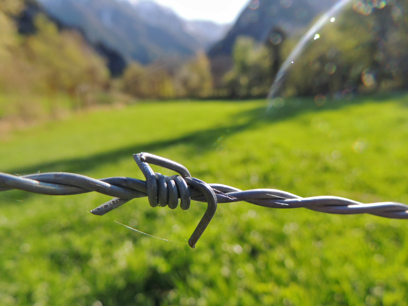man made, barb wire