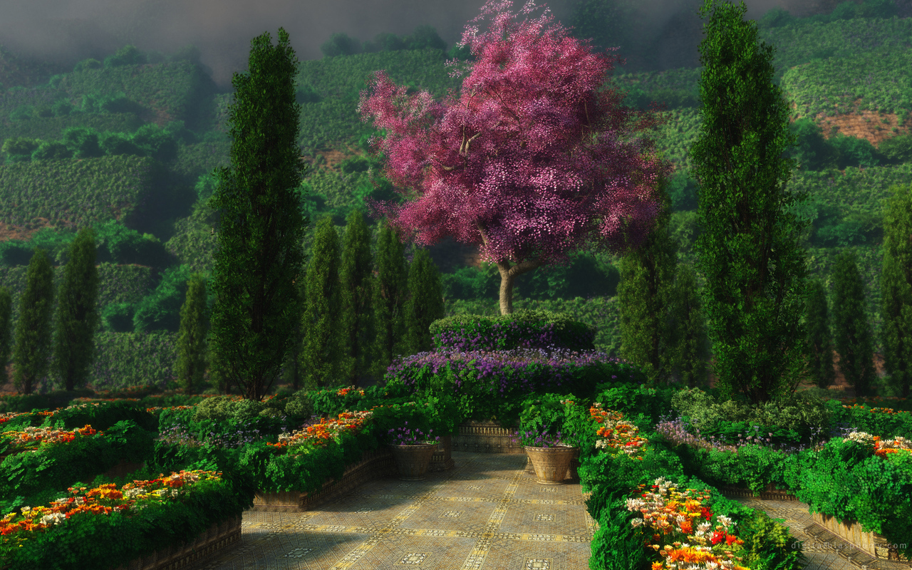 Download mobile wallpaper Trees, Landscape, Plants for free.