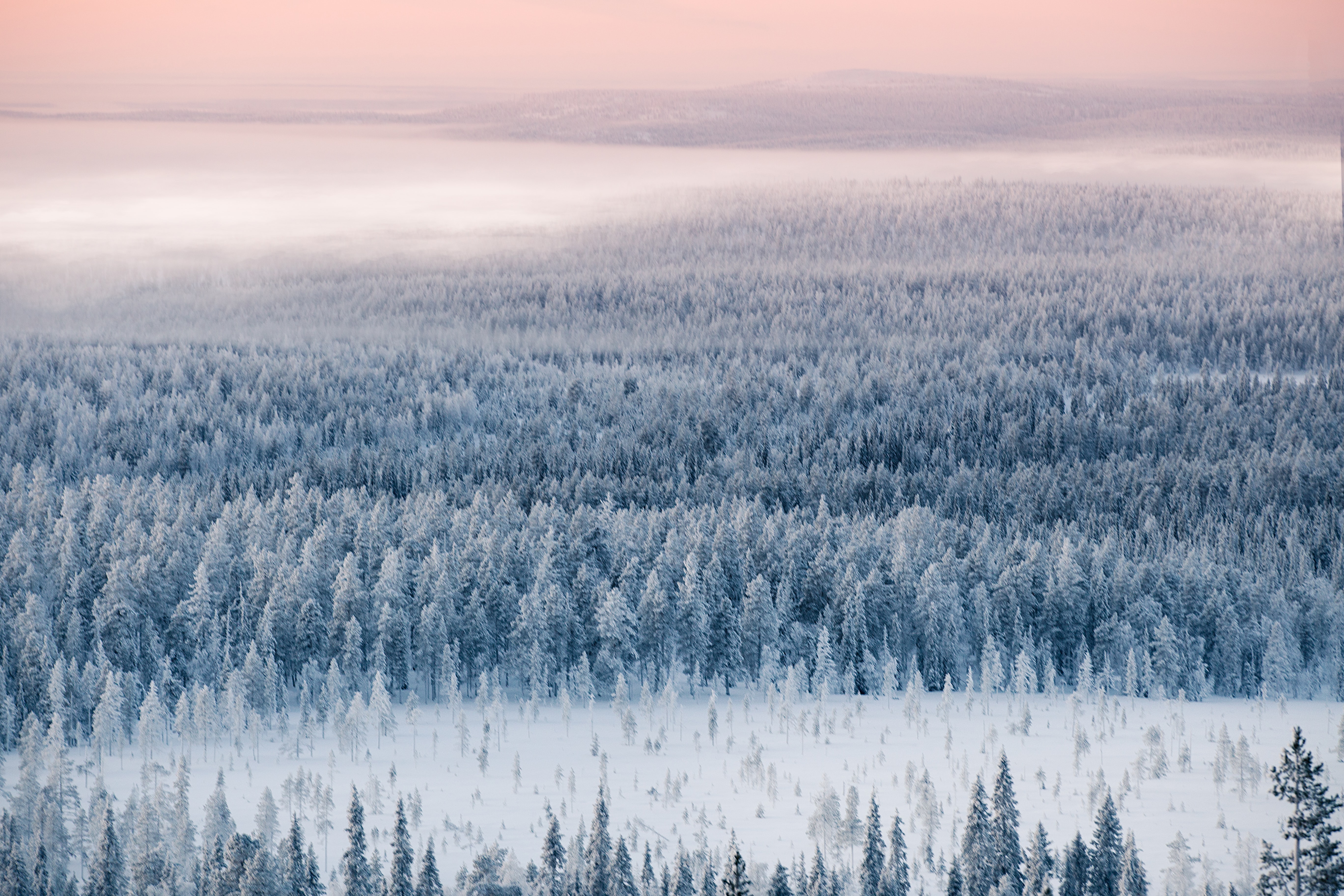 Скачать картинку Снег, Вид Сверху, Лес, Зима, Природа в телефон бесплатно.