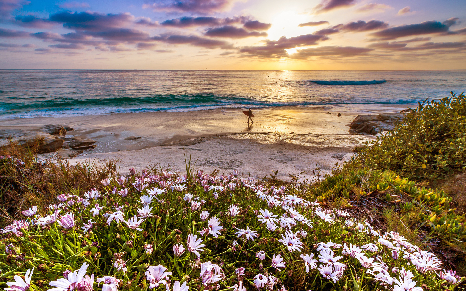 Descarga gratuita de fondo de pantalla para móvil de Playa, Tierra/naturaleza.