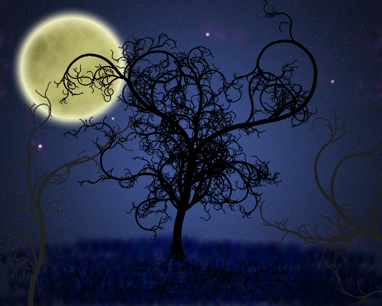 silhouette, nature, artistic, night, tree