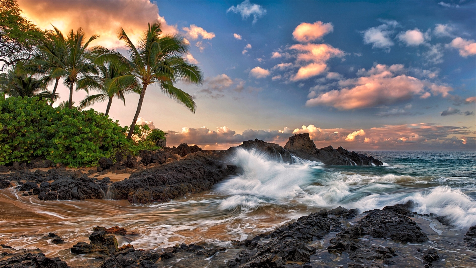 Скачать картинку Море, Пляж, Горизонт, Дерево, Океан, Всплеск, Волна, Гавайи, Земля/природа в телефон бесплатно.