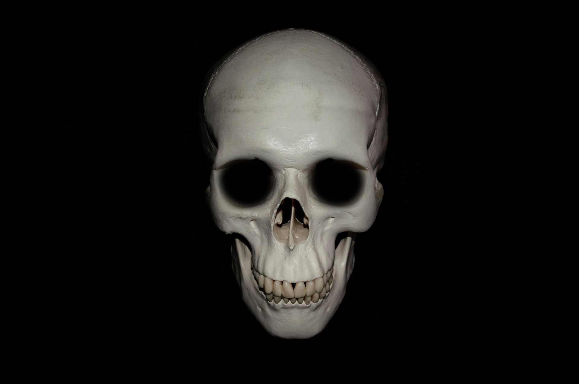 Download mobile wallpaper Dark, Skull, Minimalist for free.