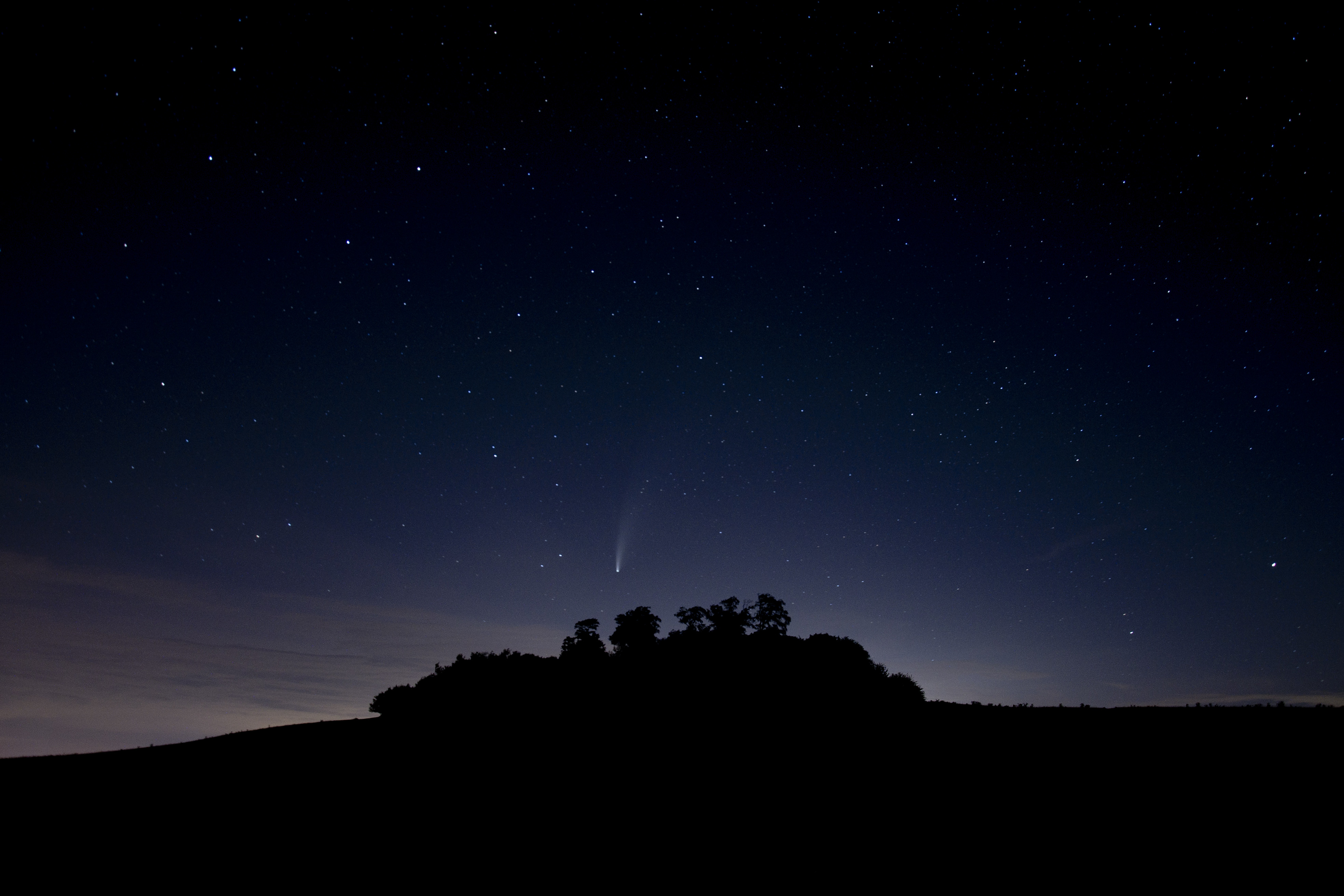 silhouette, starry sky, trees, stars, night, dark 2160p