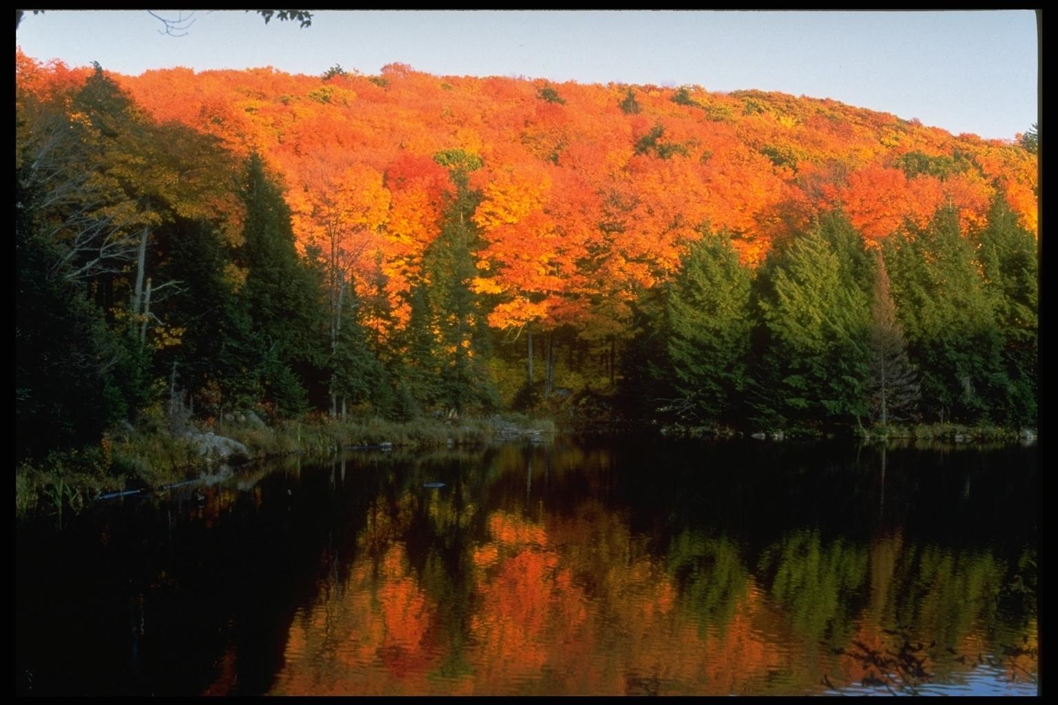 Handy-Wallpaper Landschaft, Bäume, Seen, Herbst kostenlos herunterladen.