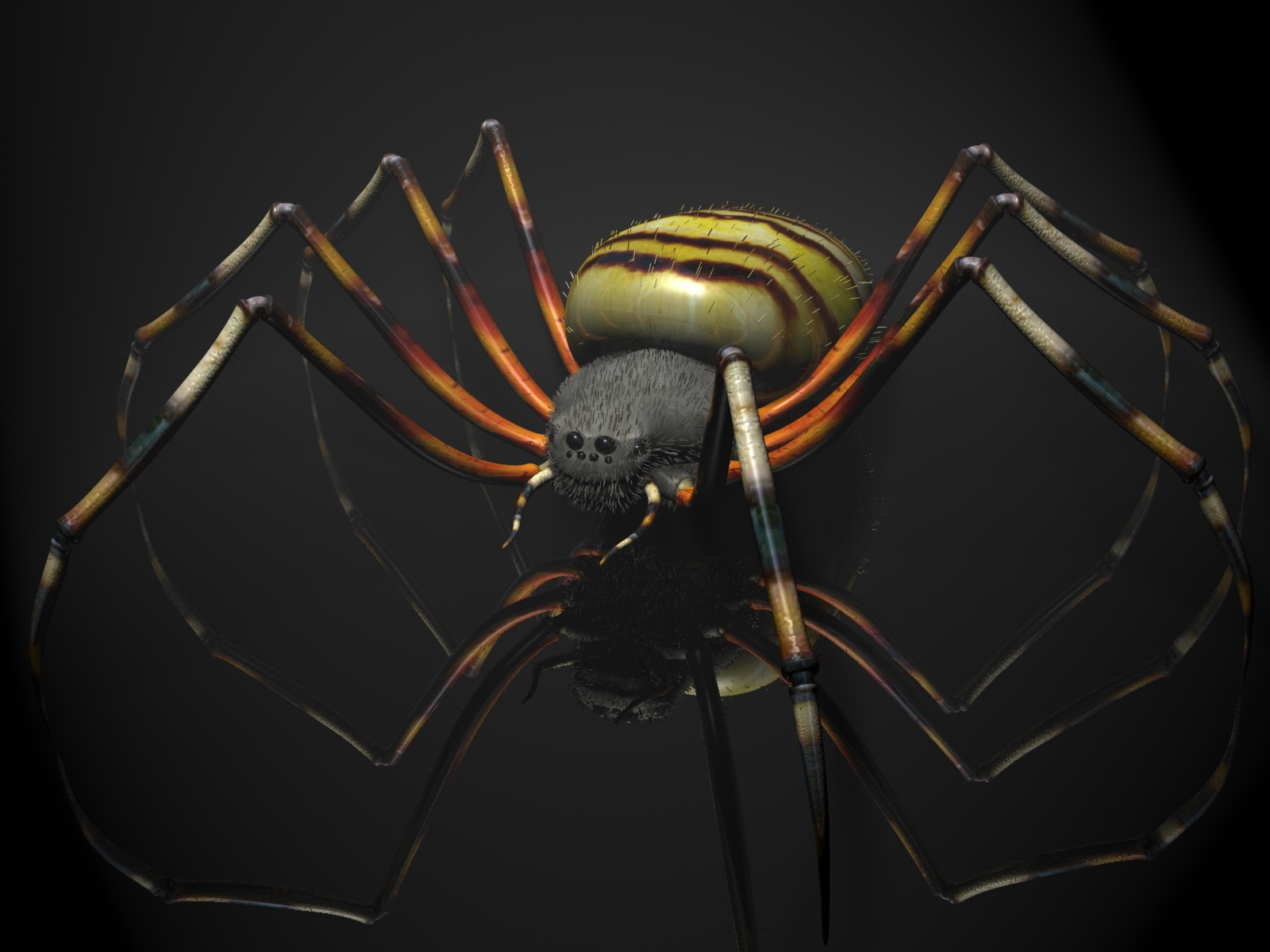 Laden Sie das Tiere, 3D, Tiger, Spinne, Spinnen-Bild kostenlos auf Ihren PC-Desktop herunter