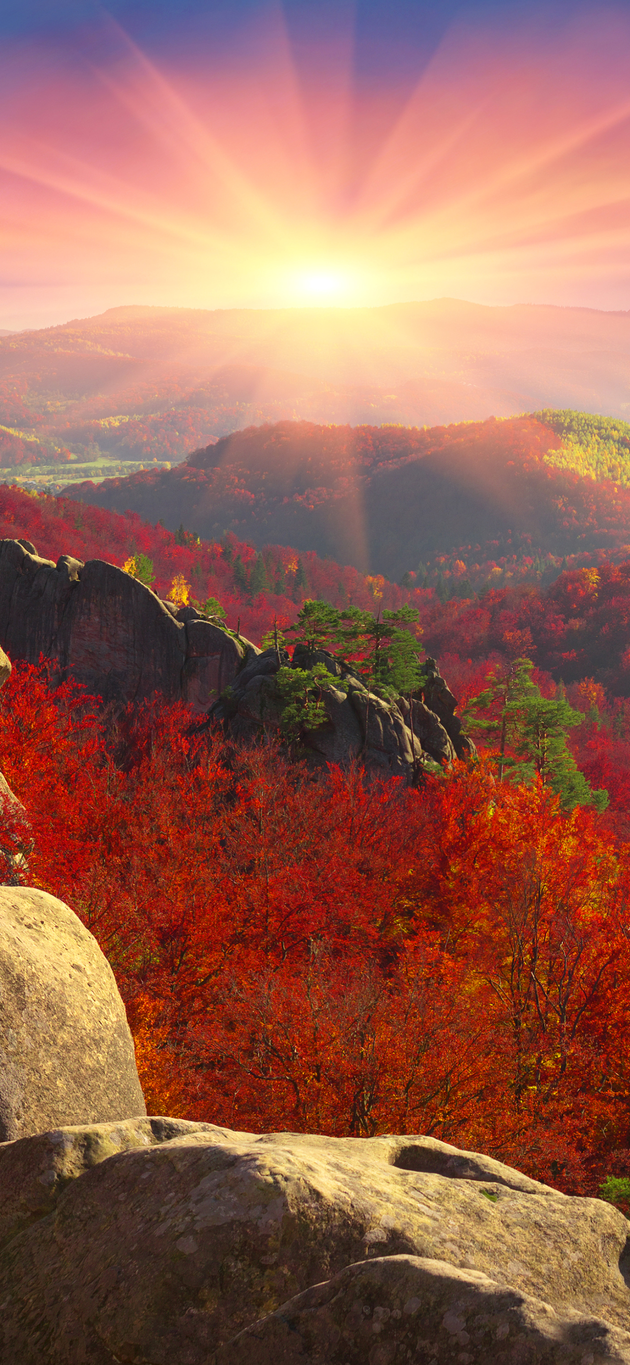 無料モバイル壁紙風景, 日没, 秋, 山, 地球, 山岳をダウンロードします。