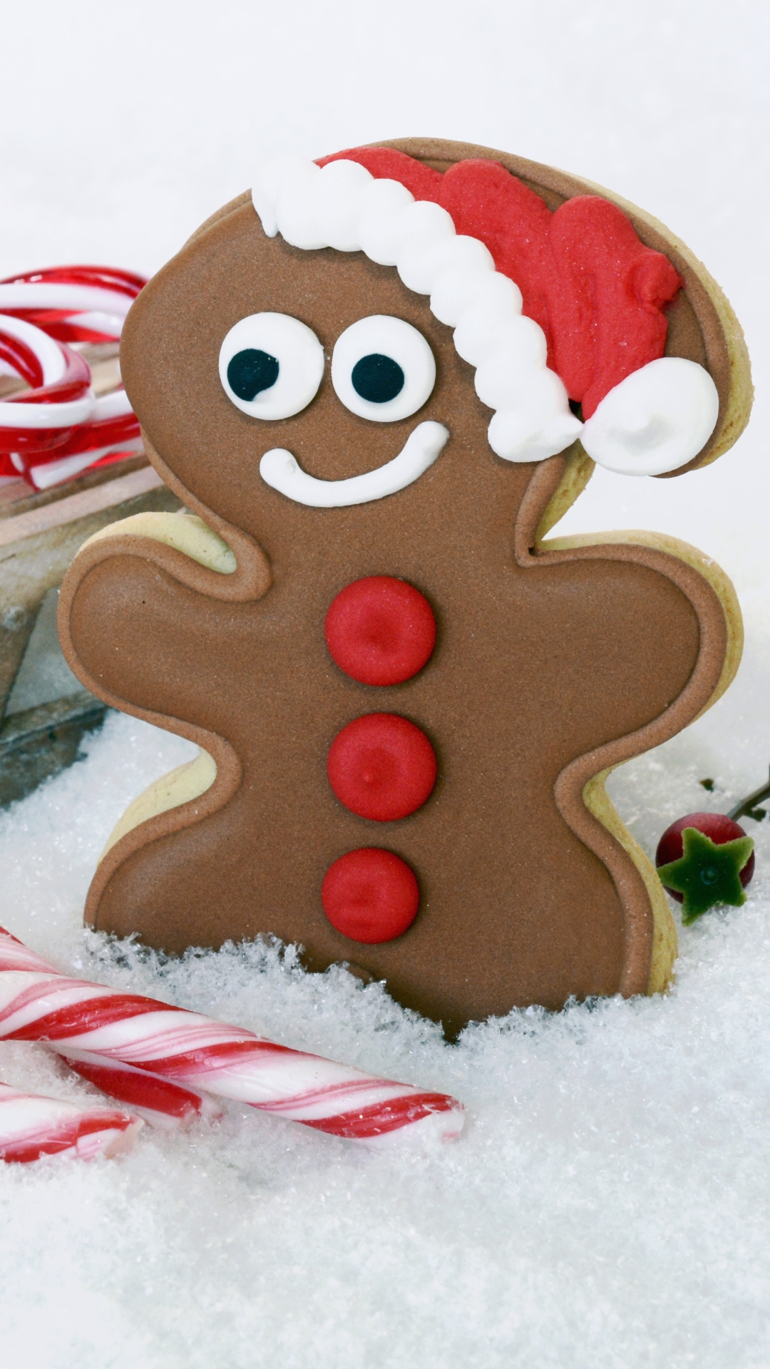 Download mobile wallpaper Christmas, Holiday, Gingerbread, Cookie, Candy Cane for free.