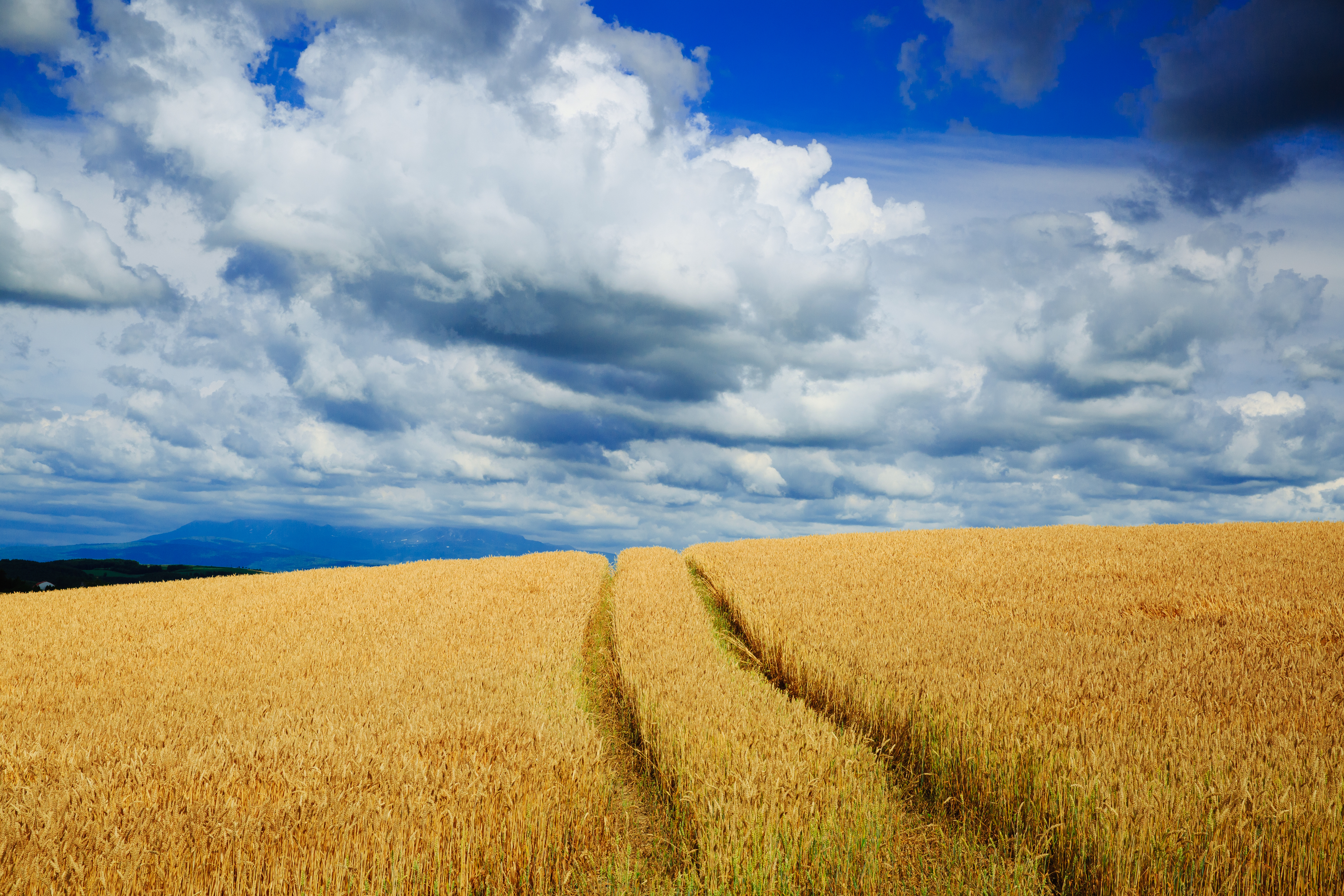 Download mobile wallpaper Nature, Sky, Summer, Earth, Field, Cloud for free.