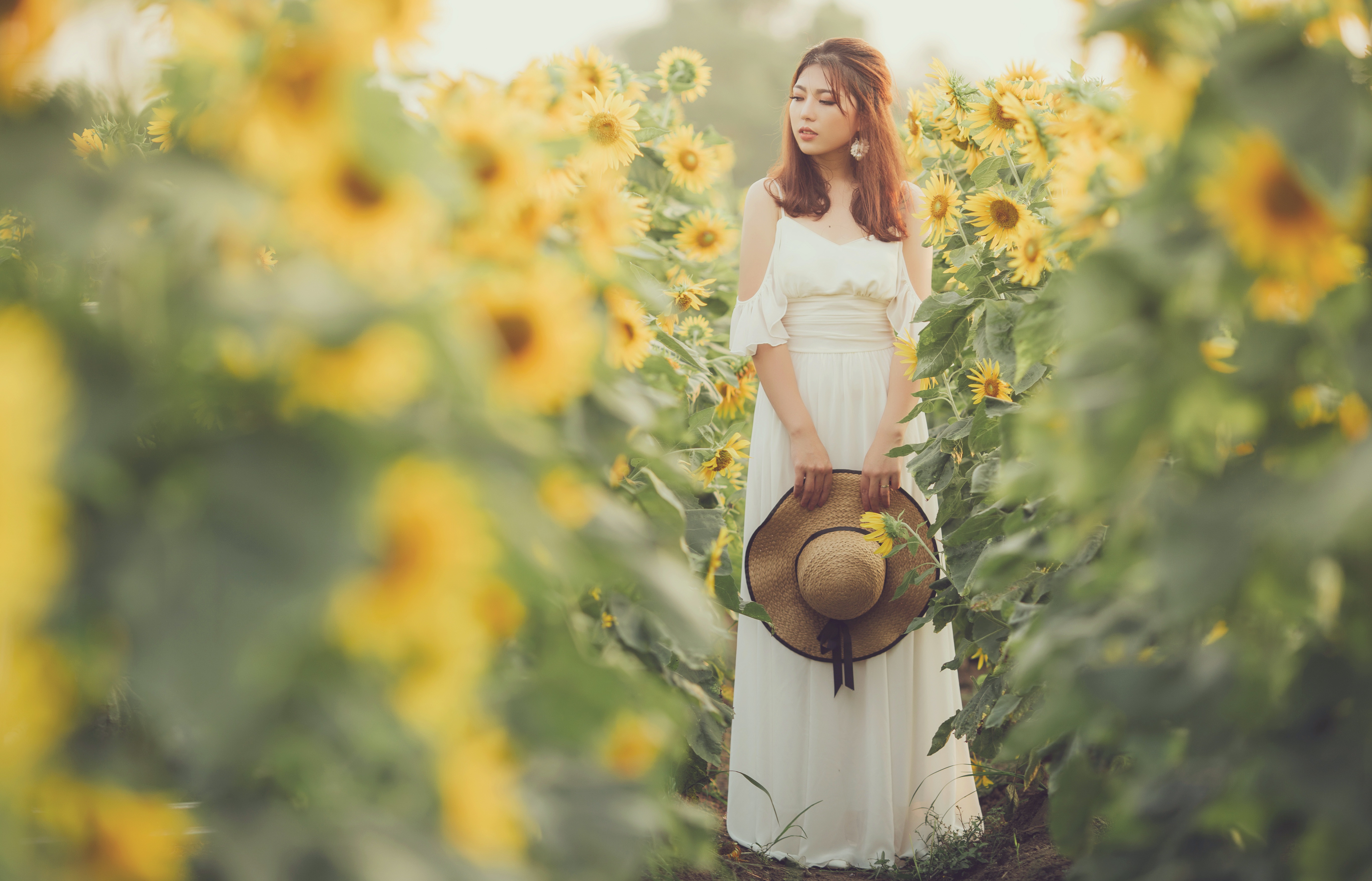 Handy-Wallpaper Sommer, Sonnenblume, Hut, Modell, Frauen, Gelbe Blume, Asiatinnen, Weißes Kleid kostenlos herunterladen.