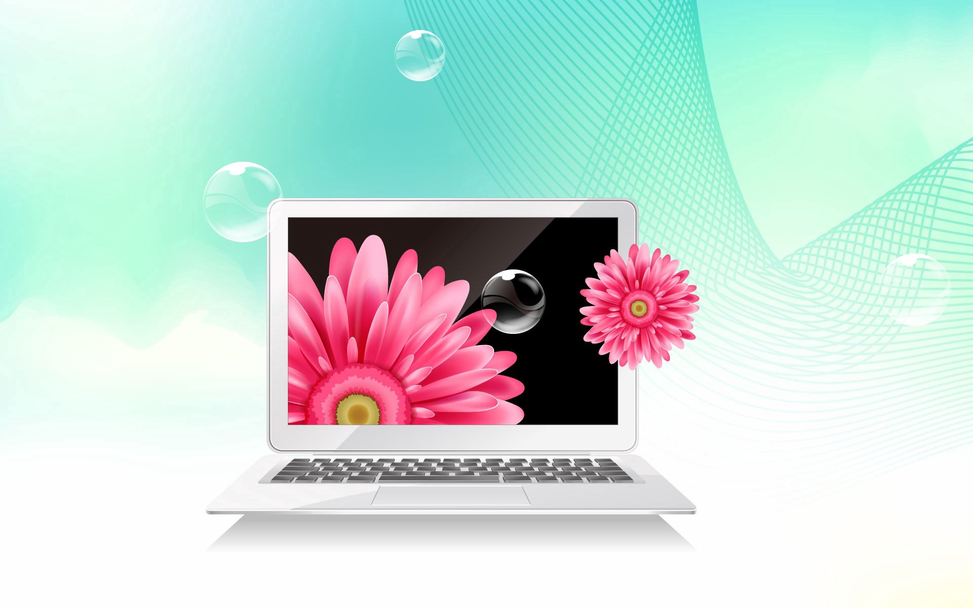 134708 descargar imagen flores, bubbles, vector, red, rejilla, imagen, computadora portátil, portátil: fondos de pantalla y protectores de pantalla gratis