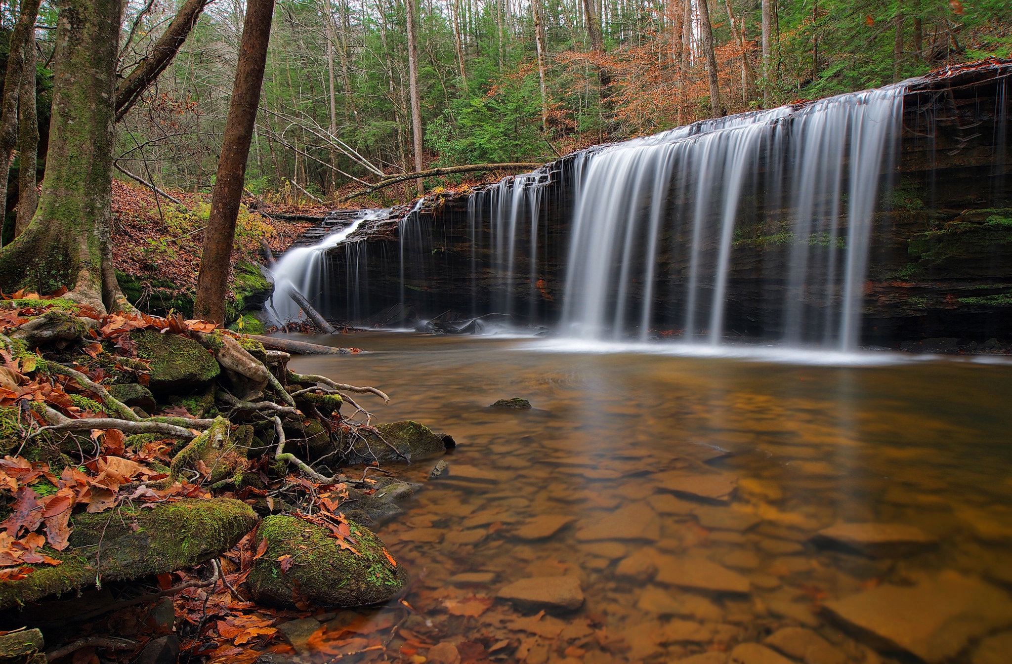 Free download wallpaper Nature, Waterfalls, Waterfall, Forest, Fall, Earth on your PC desktop