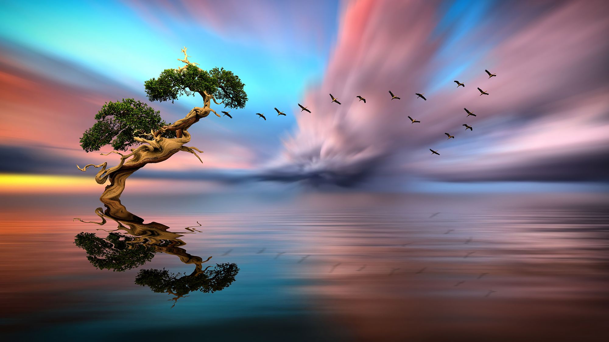 Free download wallpaper Trees, Sunset, Sky, Lake, Reflection, Bird, Tree, Earth on your PC desktop
