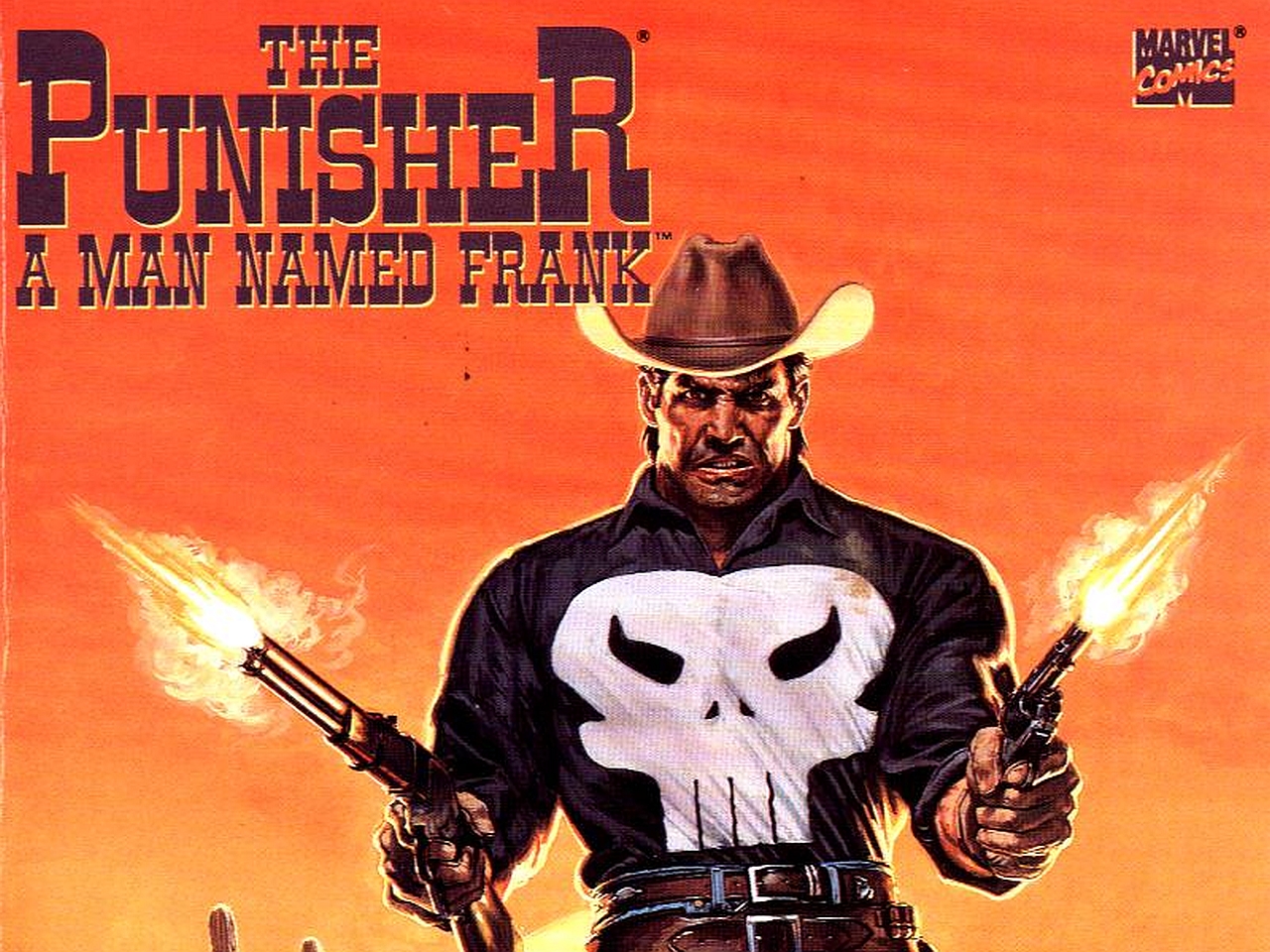 Free download wallpaper Comics, Punisher, The Punisher: A Man Named Frank on your PC desktop