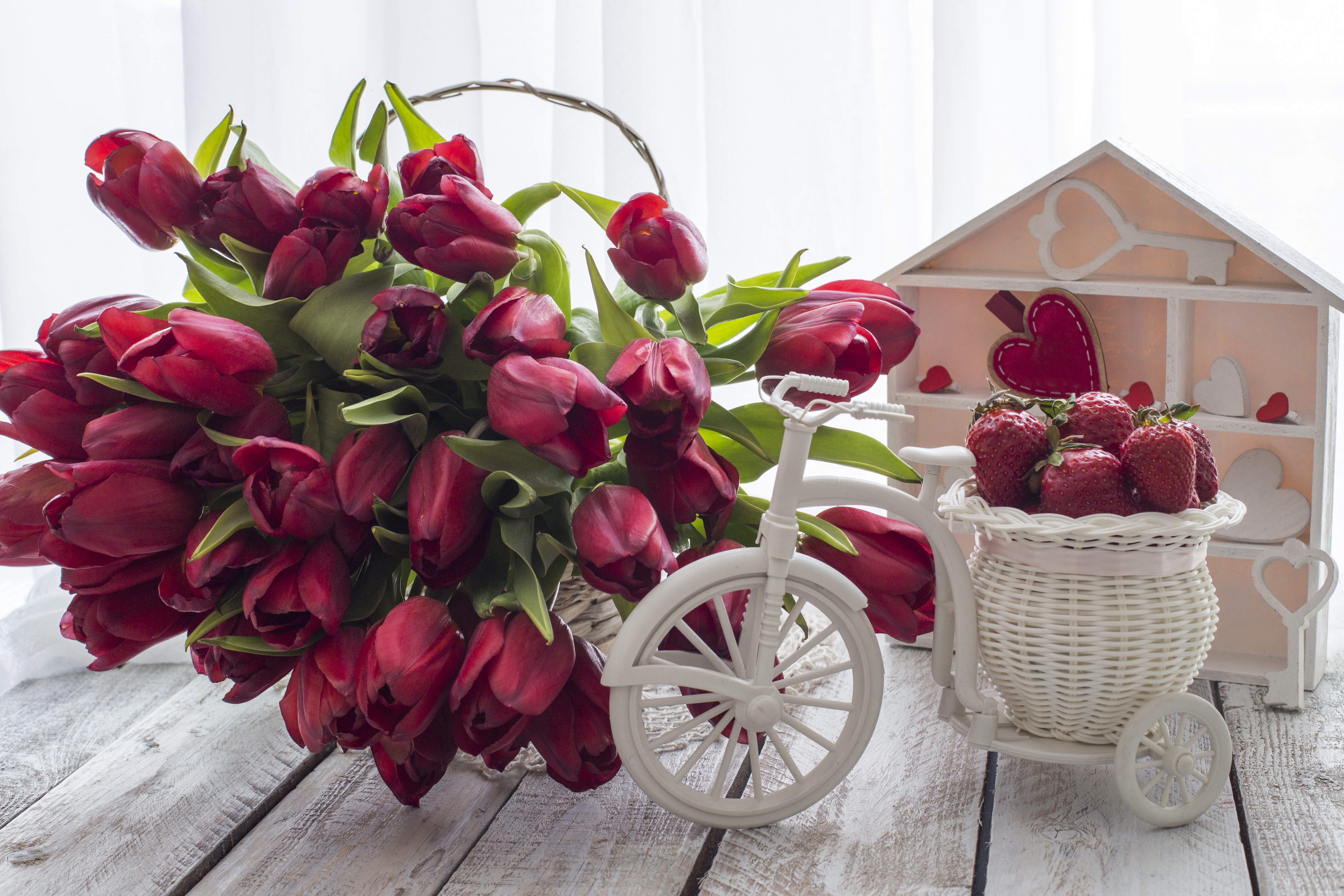 Free download wallpaper Strawberry, Still Life, Flower, Tulip, Photography, Red Flower on your PC desktop