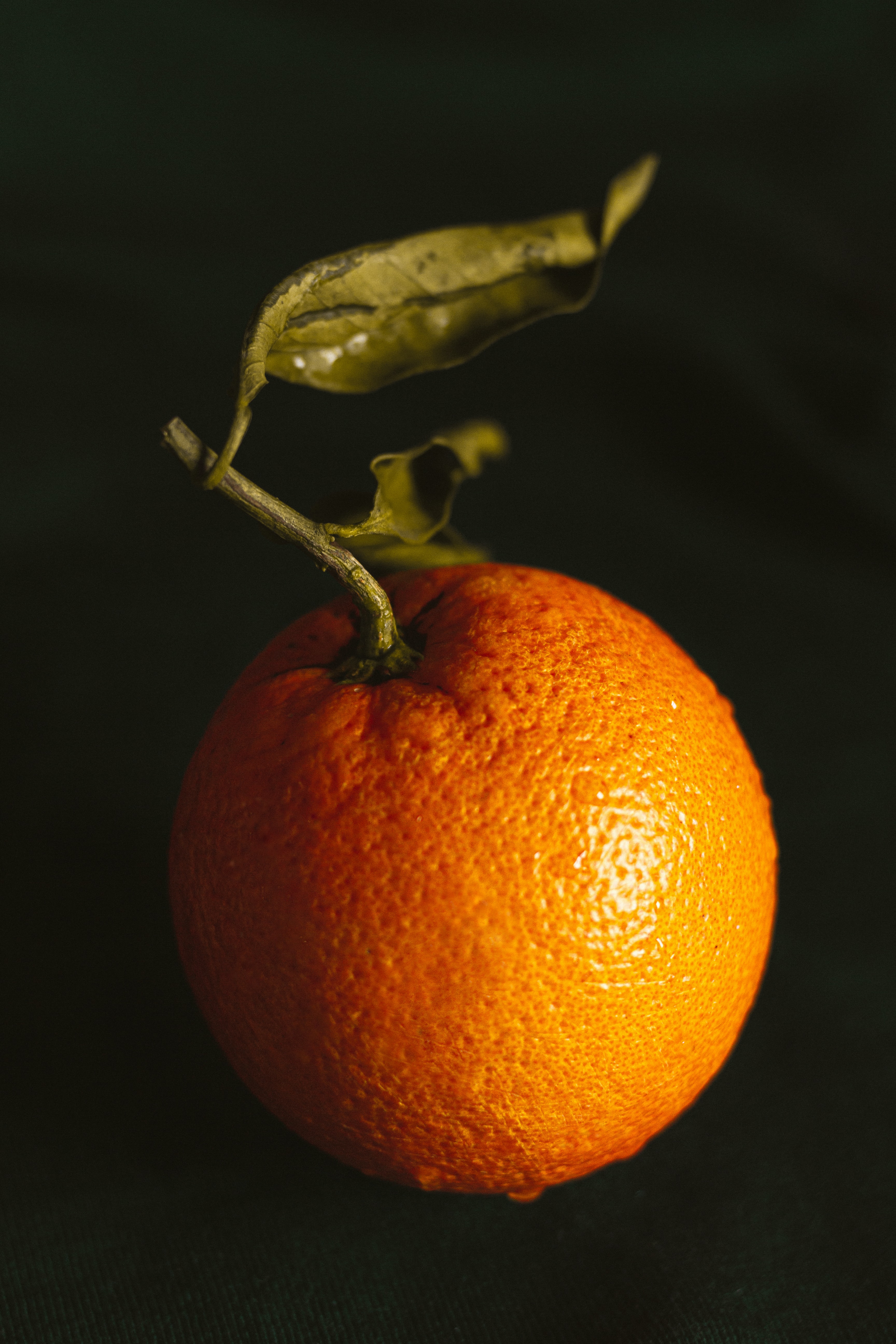 Скачать обои бесплатно Оранжевый, Мокрый, Фрукт, Еда, Цитрус, Апельсин картинка на рабочий стол ПК