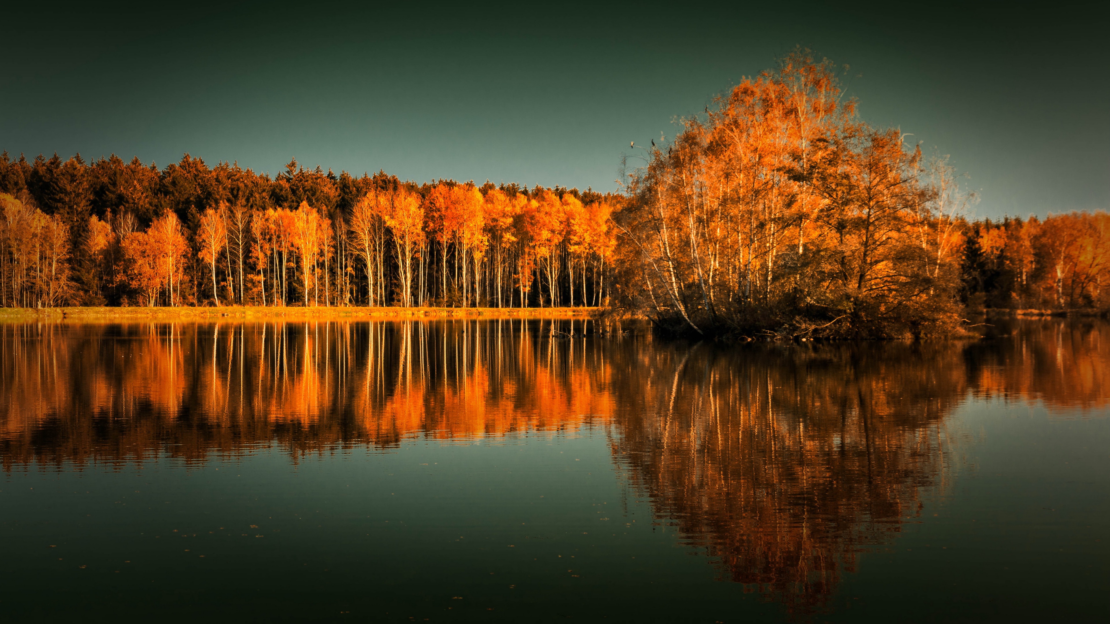 Handy-Wallpaper Natur, Herbst, See, Erde/natur, Spiegelung kostenlos herunterladen.