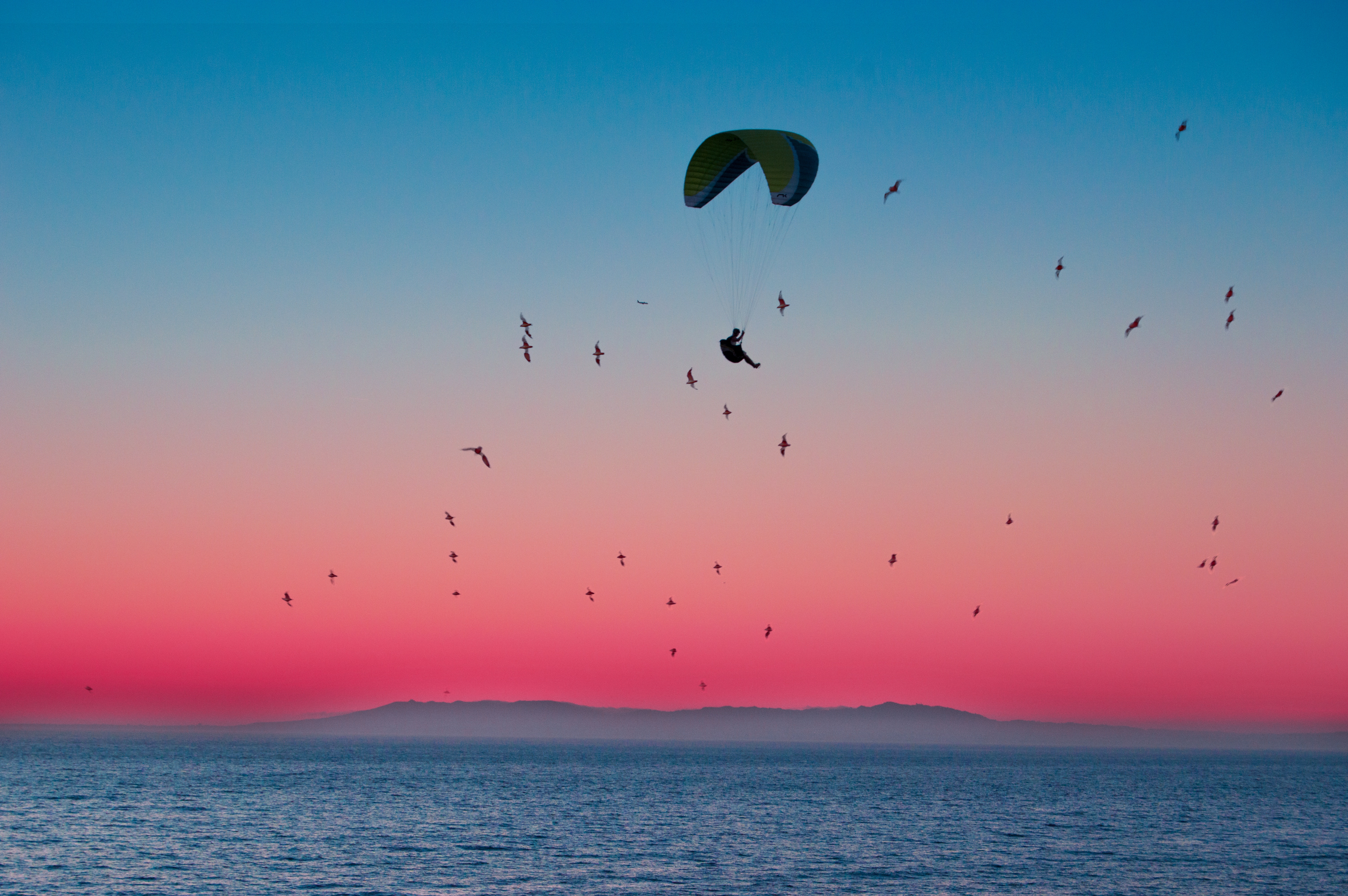 115708 Hintergrundbild herunterladen fallschirm, sport, vögel, sea, horizont, flug, gleitschirmfliegen, gleitschirm - Bildschirmschoner und Bilder kostenlos