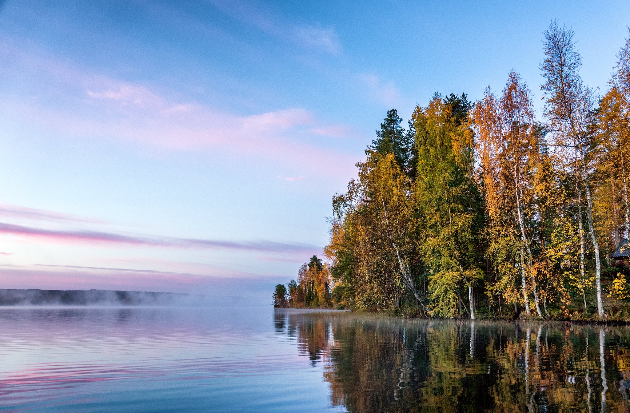 Free download wallpaper Nature, Lake, Reflection, Tree, Fog, Earth on your PC desktop