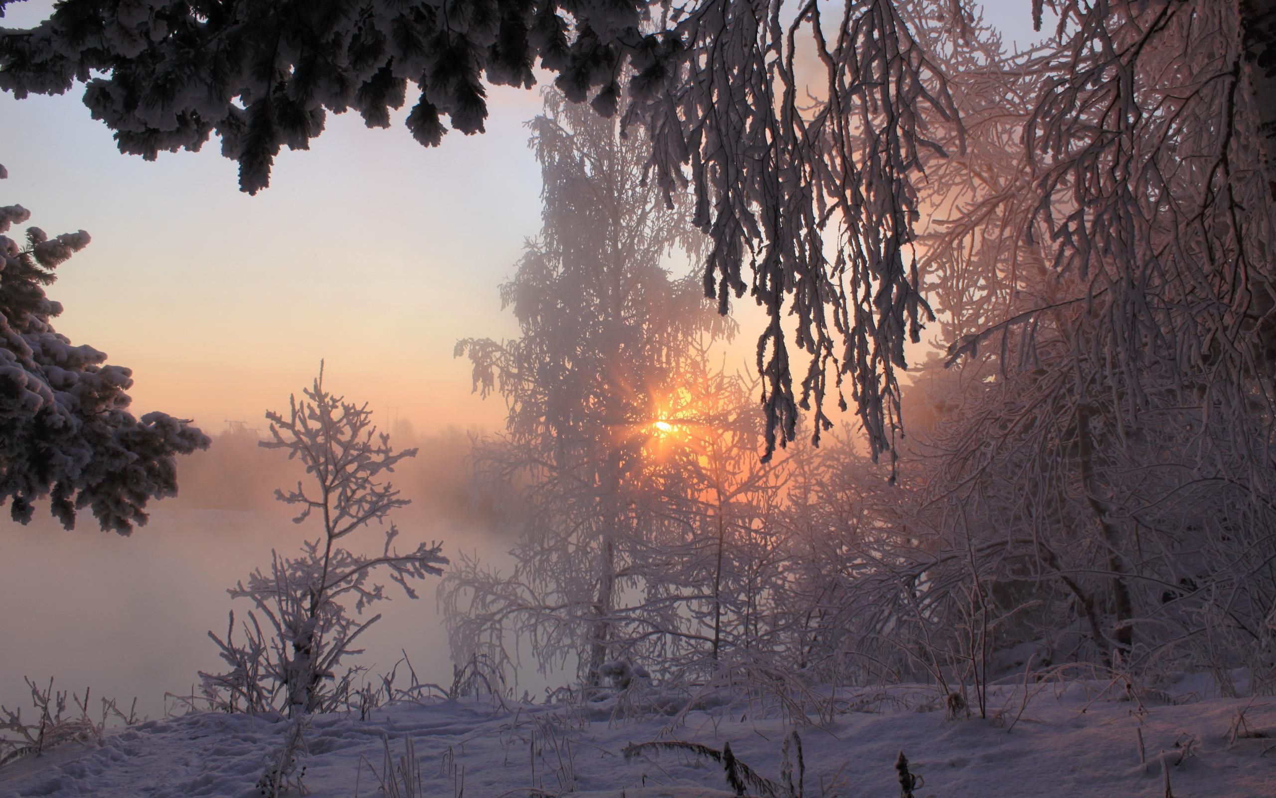 Laden Sie das Winter, Schnee, Baum, Sonnenuntergang, Erde/natur-Bild kostenlos auf Ihren PC-Desktop herunter