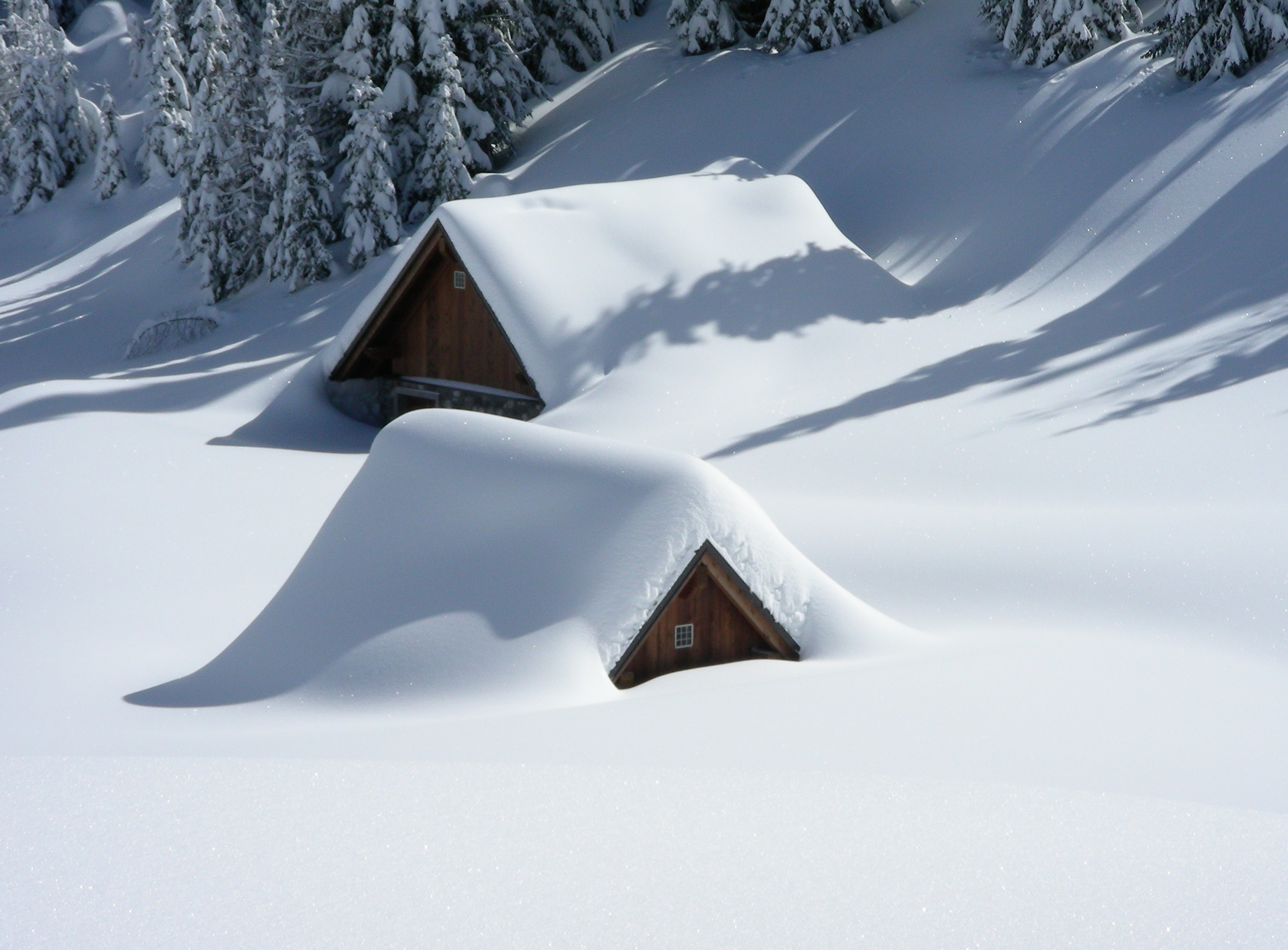 112168 скачать обои природа, снег, деревья, здания, возвышенность - заставки и картинки бесплатно