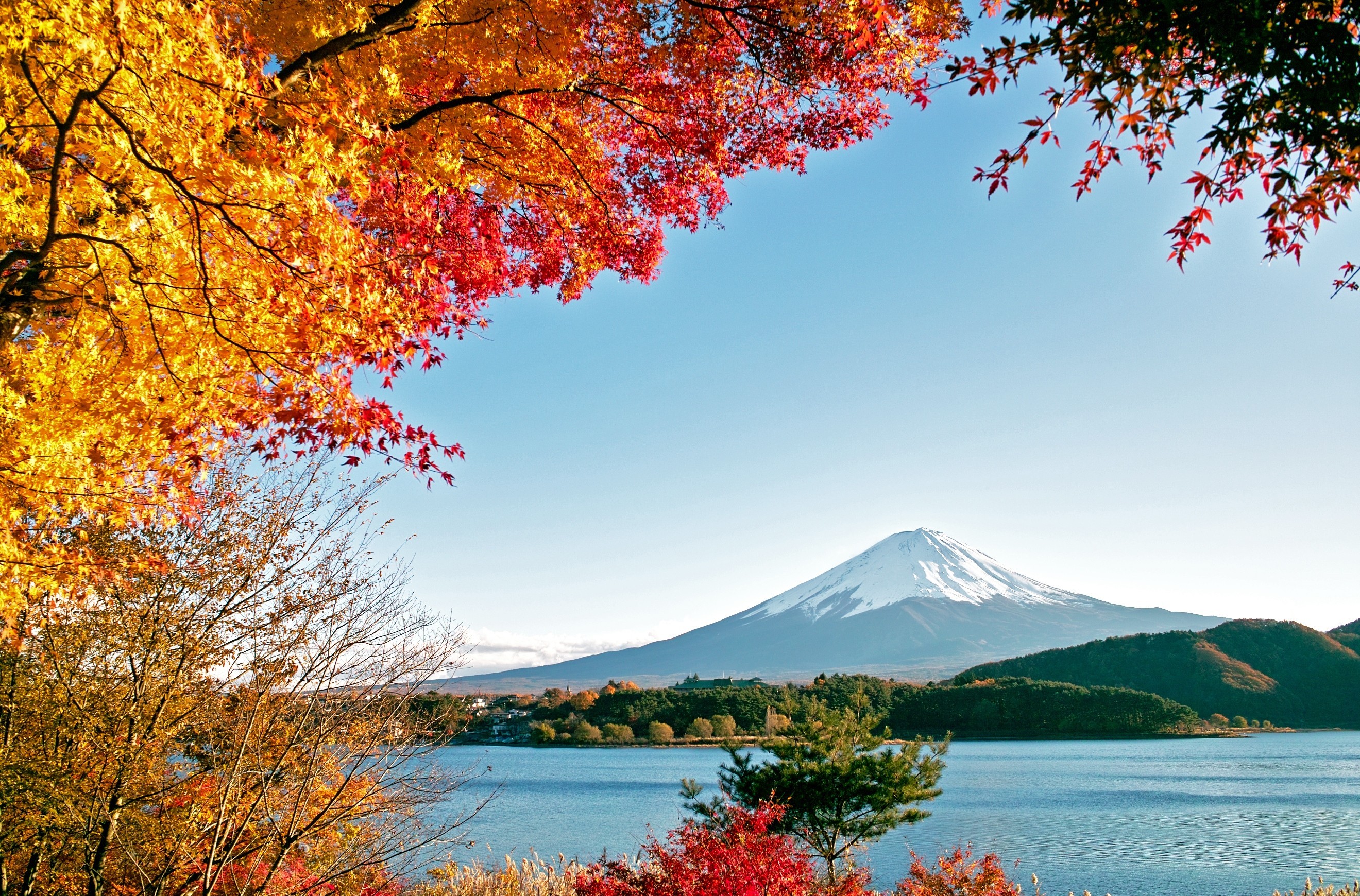 343175 скачать картинку осень, япония, листва, фудзияма, земля/природа, гора фудзи, цвета, вулканы - обои и заставки бесплатно