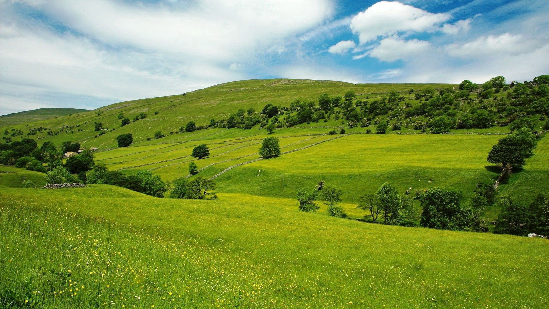 Free download wallpaper Nature, Grass, Summer, Sky, Field on your PC desktop