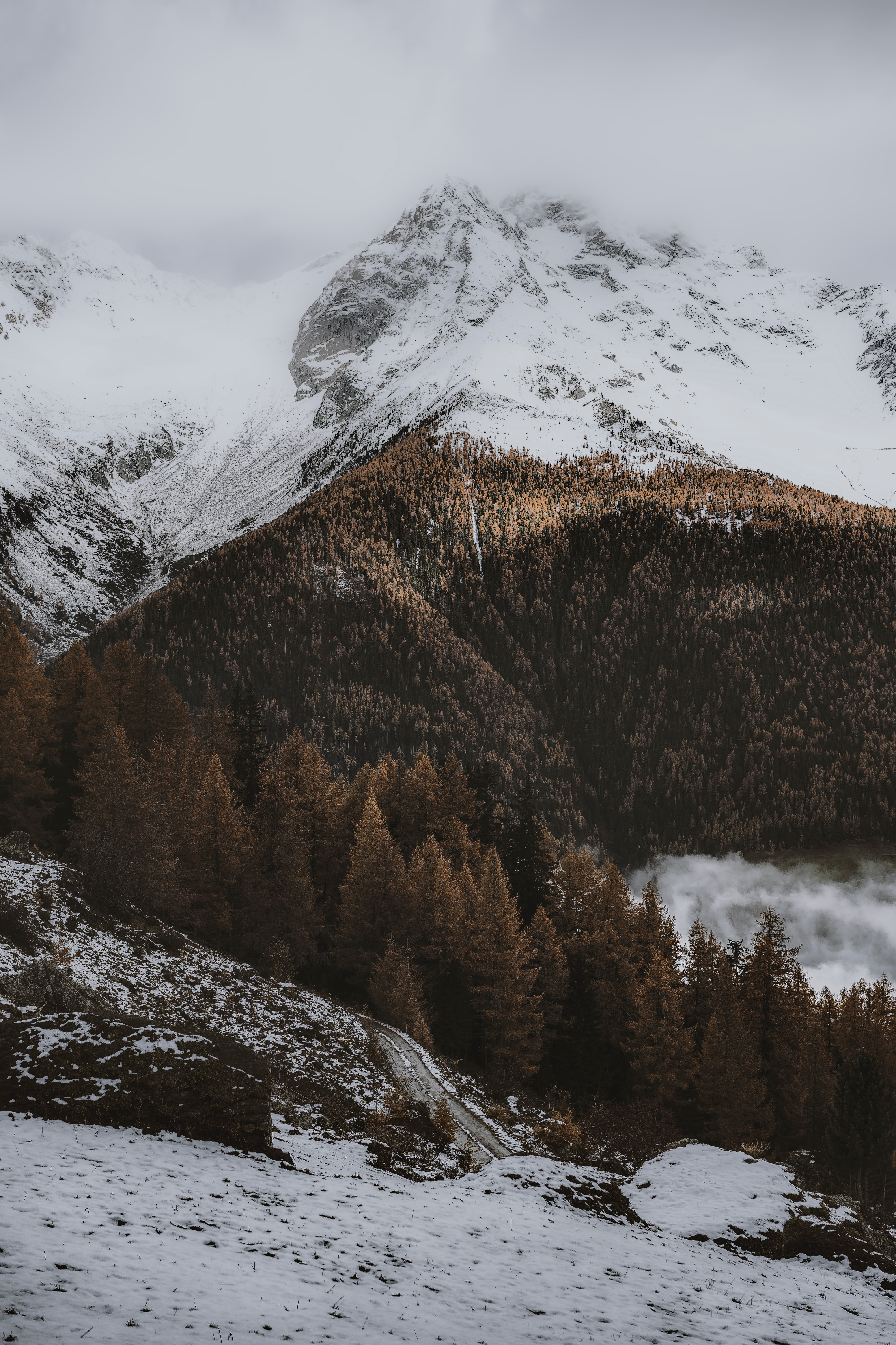 Descarga gratuita de fondo de pantalla para móvil de Naturaleza, Montaña, Bosque, Nieve, Camino, Invierno.