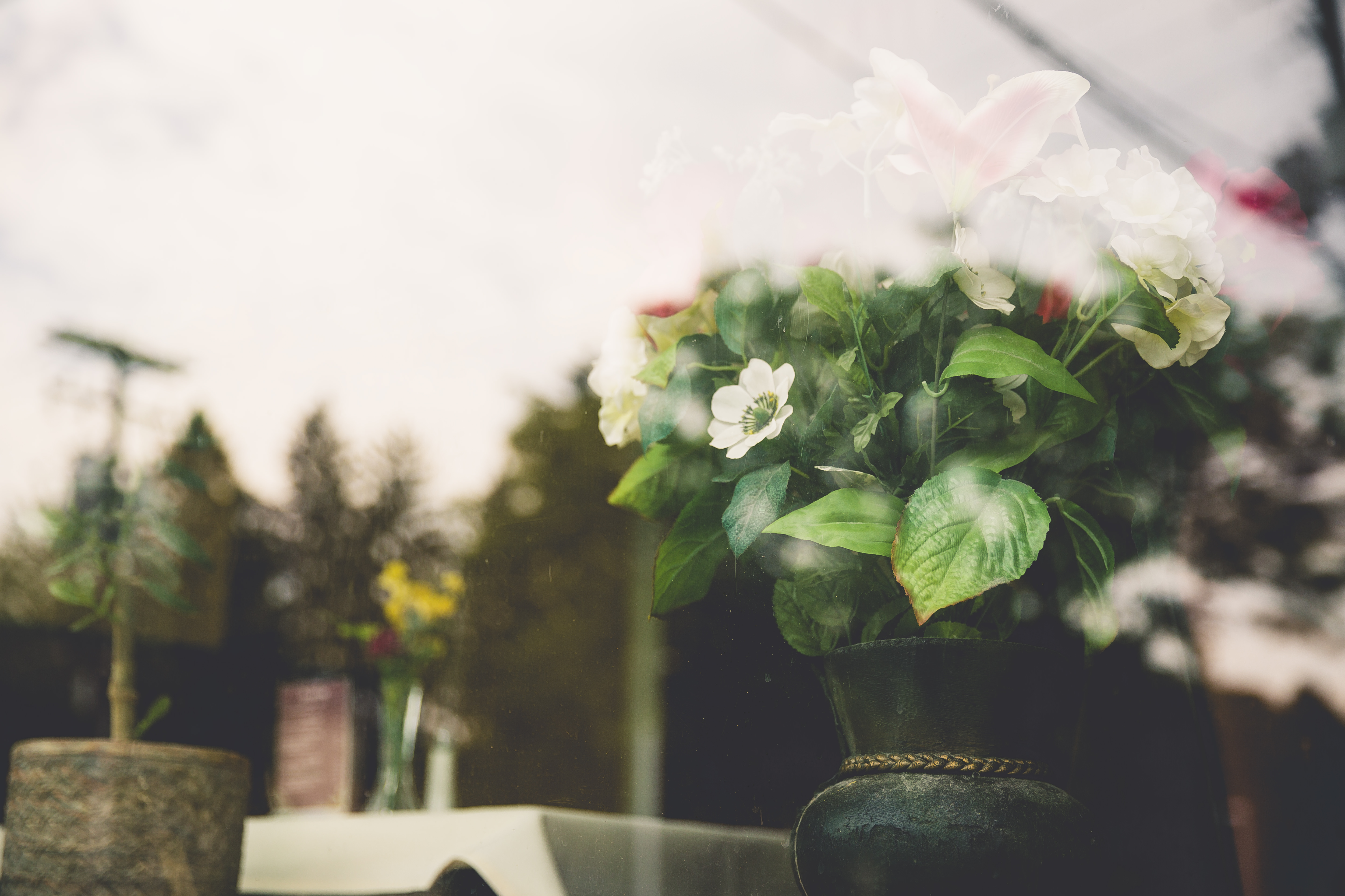 Laden Sie das Vase, Glas, Blumen-Bild kostenlos auf Ihren PC-Desktop herunter