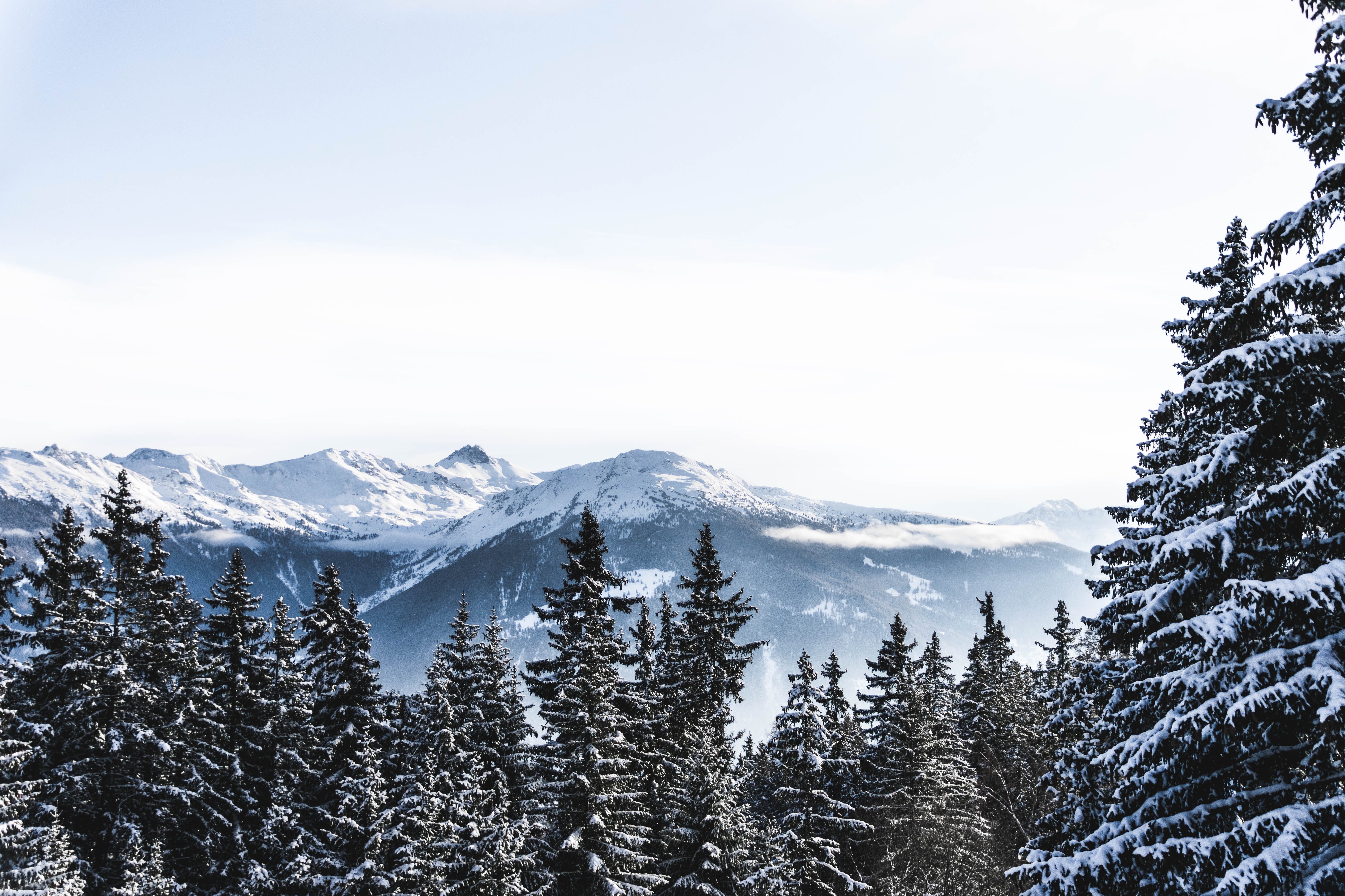 tops, nature, winter, mountains, snow, vertex, switzerland, snow covered, snowbound for android