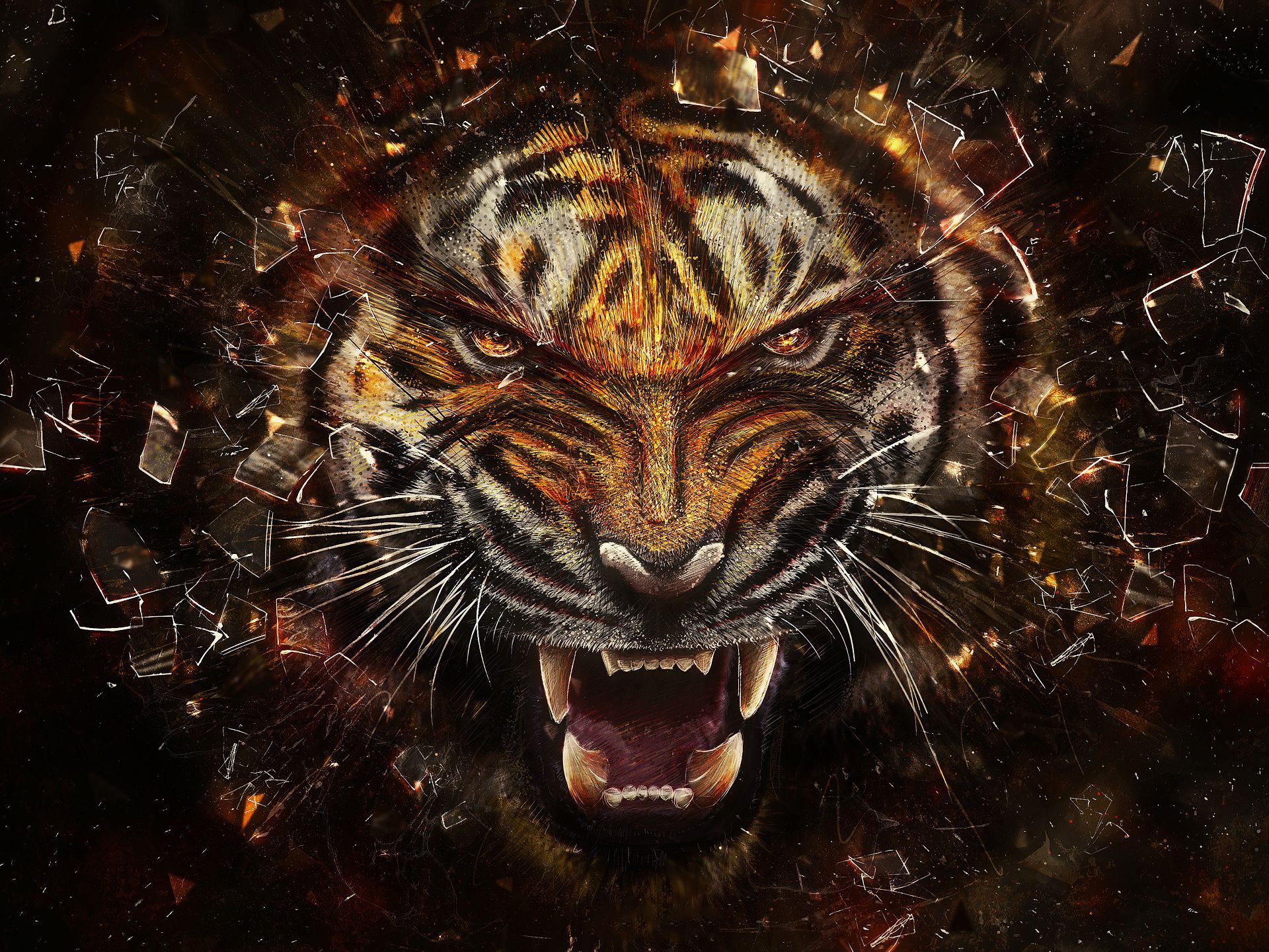 tiger, animal, cats